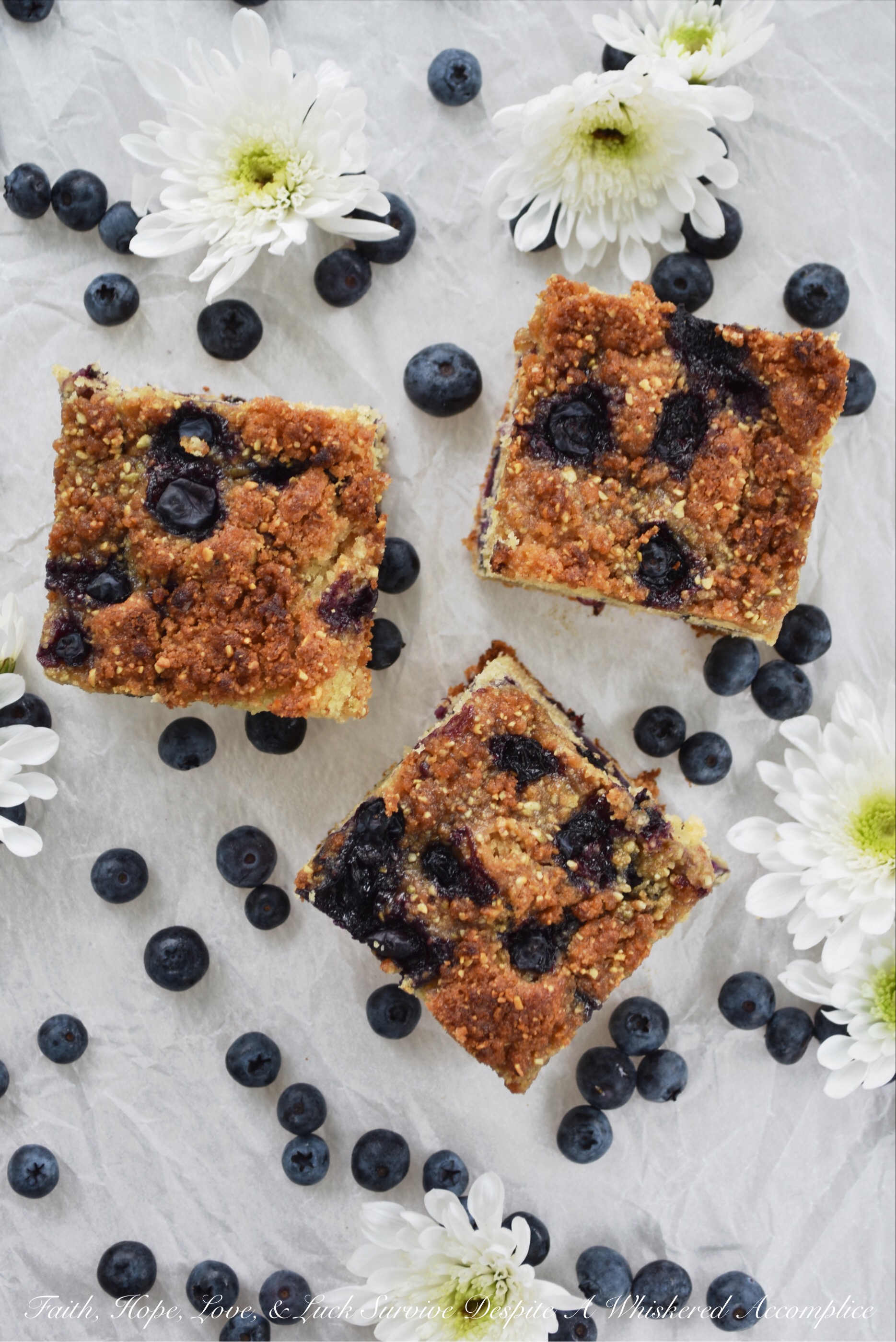 Fresh Blueberry Streusel Topped Crumb Cake - This moist crumb cake is loaded with fresh blueberries and topped with a light streusel topping containing salted pumpkin seeds and brown sugar. I'll leave it up to you whether or not you should eat it for breakfast or for dessert. No matter how you choose to enjoy it, I'm pretty sure you're going to be delighted with its incredible taste and crumbly texture.
