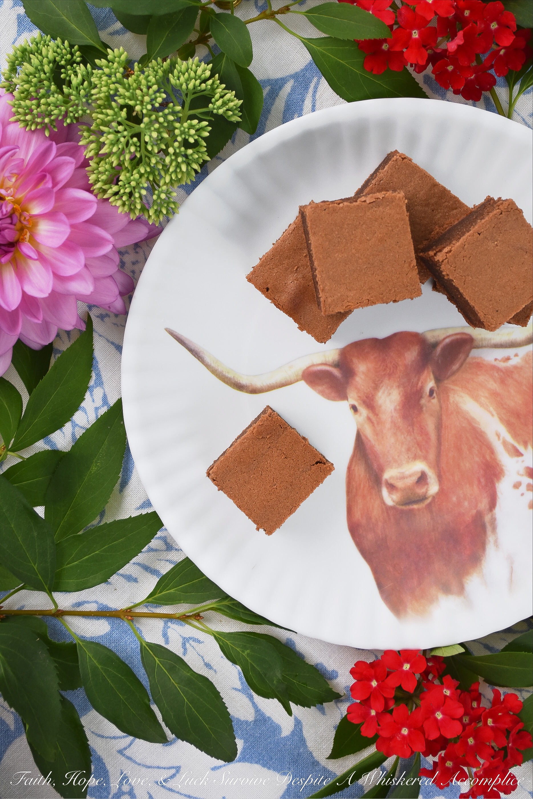 Milk Chocolate Sour Cream Cake Brownies - This no-fuss sour cream brownie recipe takes less than five minutes to whisk together and only twenty-five minutes to bake. That means that you can have warm chocolatey cake brownies in your kitchen in less than half an hour. I'm pretty sure that's a good thing.