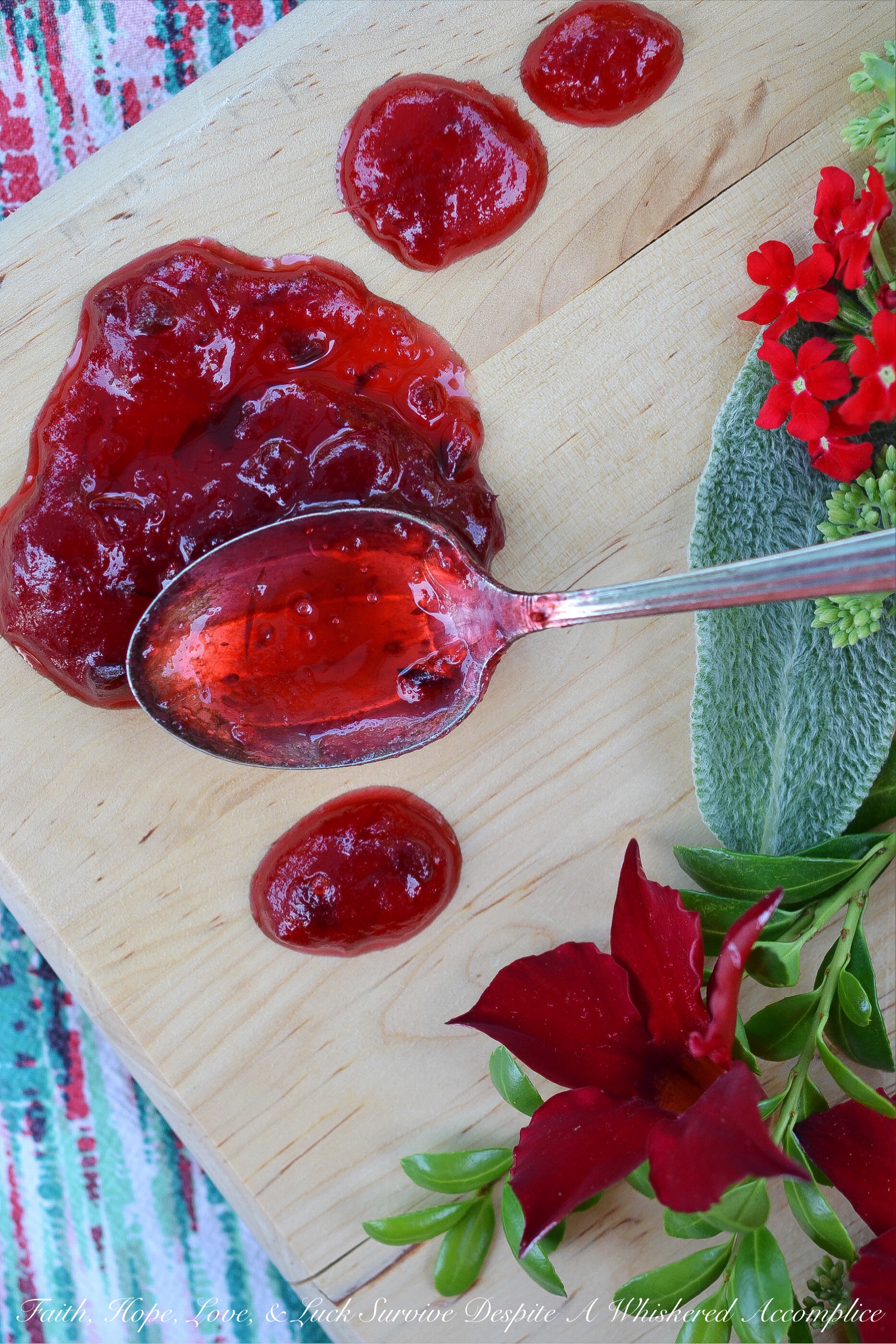Sweet & Spicy Cranberry Jalapeño Jam Sauce - This sweet and spicy jam sauce, made with frozen cranberries and finely diced jalapenos, can be used to flavor so many recipes. Pour it over cream cheese then serve with crackers for a fast and flavorful appetizer, mix it into your favorite cocktail in lieu of simple syrup, or even use it to kick up the flavor of your favorite crockpot meatballs. Whichever way you choose to use it, I know you're going to simply adore this cranberry jalapeño jam sauce.