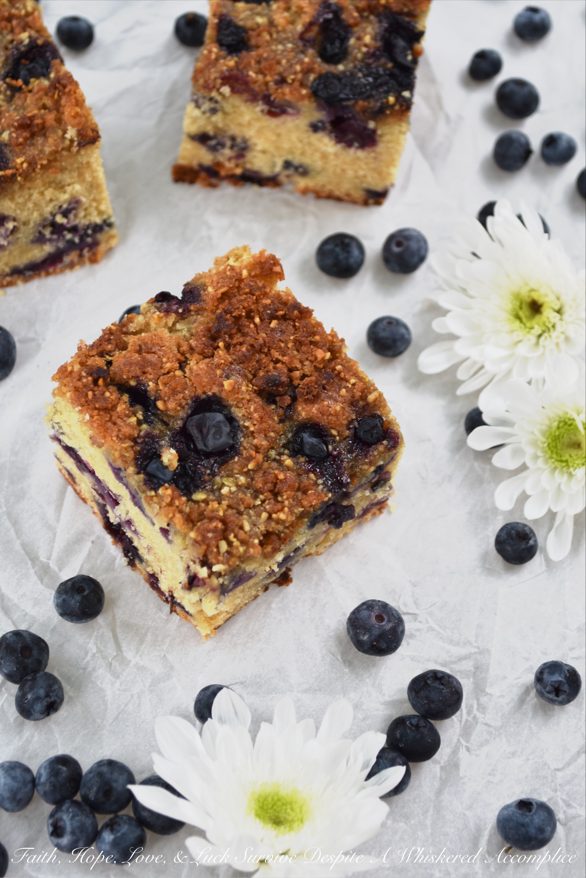 Fresh Blueberry Streusel Topped Crumb Cake - This moist crumb cake is loaded with fresh blueberries and topped with a light streusel topping containing salted pumpkin seeds and brown sugar. I'll leave it up to you whether or not you should eat it for breakfast or for dessert. No matter how you choose to enjoy it, I'm pretty sure you're going to be delighted with its incredible taste and crumbly texture.