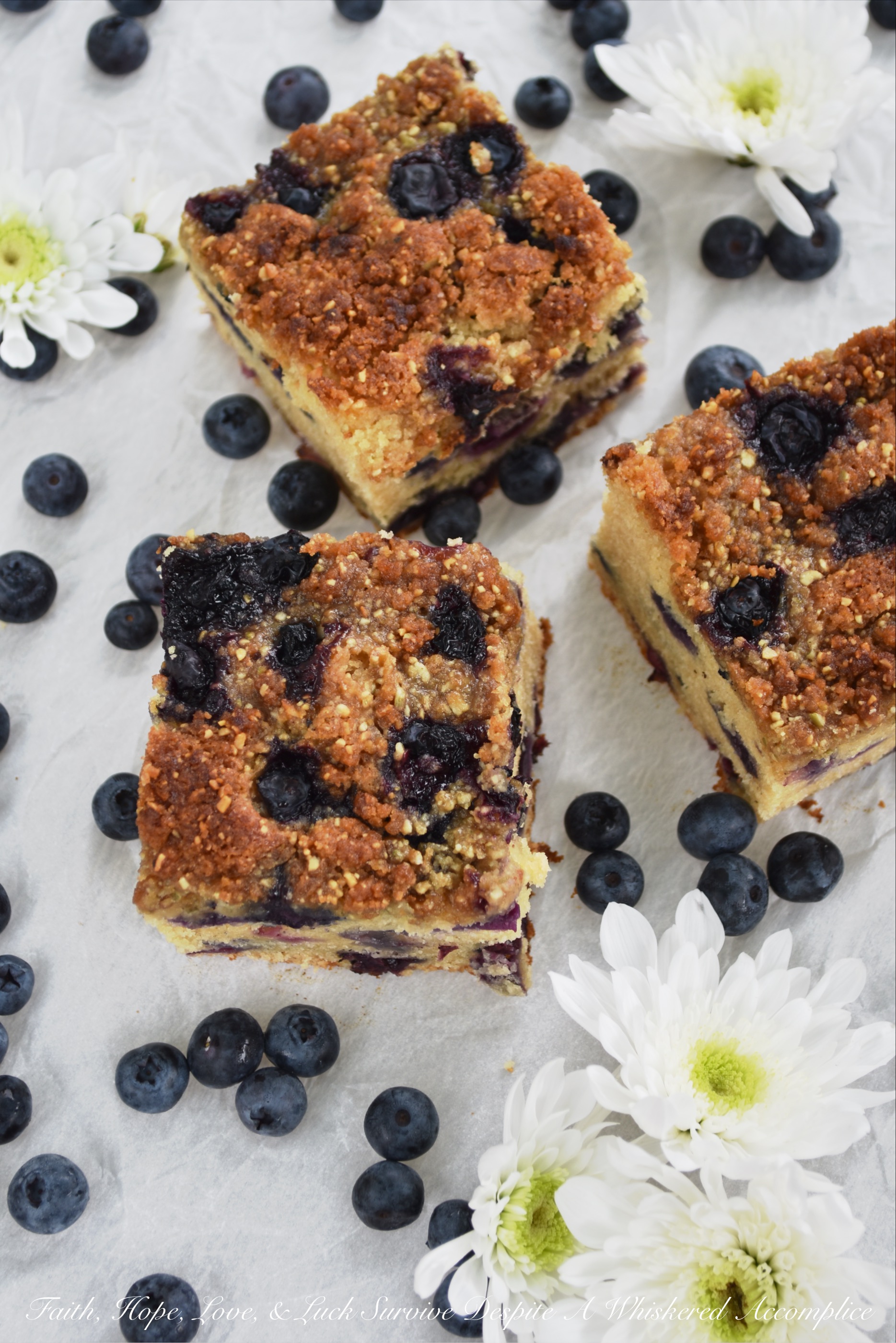 Fresh Blueberry Streusel Topped Crumb Cake - This moist crumb cake is loaded with fresh blueberries and topped with a light streusel topping containing salted pumpkin seeds and brown sugar. I'll leave it up to you whether or not you should eat it for breakfast or for dessert. No matter how you choose to enjoy it, I'm pretty sure you're going to be delighted with its incredible taste and crumbly texture.