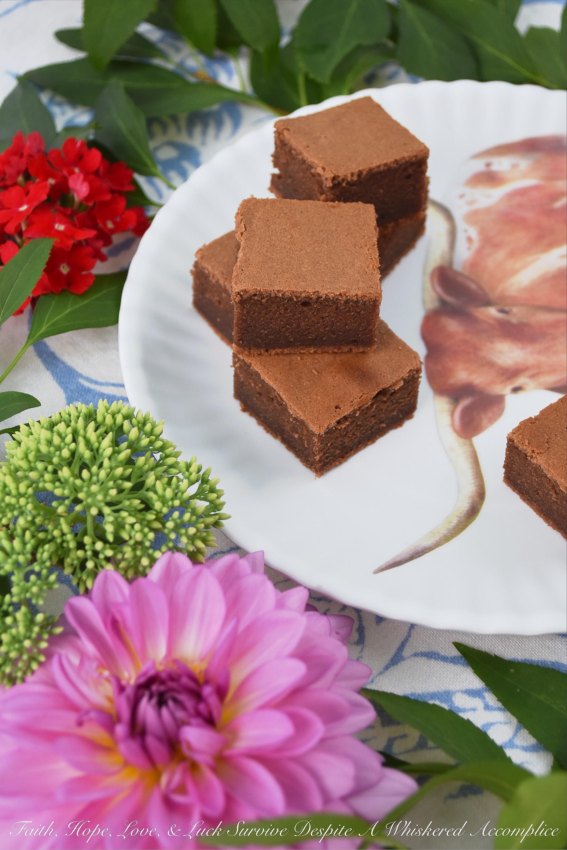 Milk Chocolate Sour Cream Cake Brownies - This no-fuss sour cream brownie recipe takes less than five minutes to whisk together and only twenty-five minutes to bake. That means that you can have warm chocolatey cake brownies in your kitchen in less than half an hour. I'm pretty sure that's a good thing.