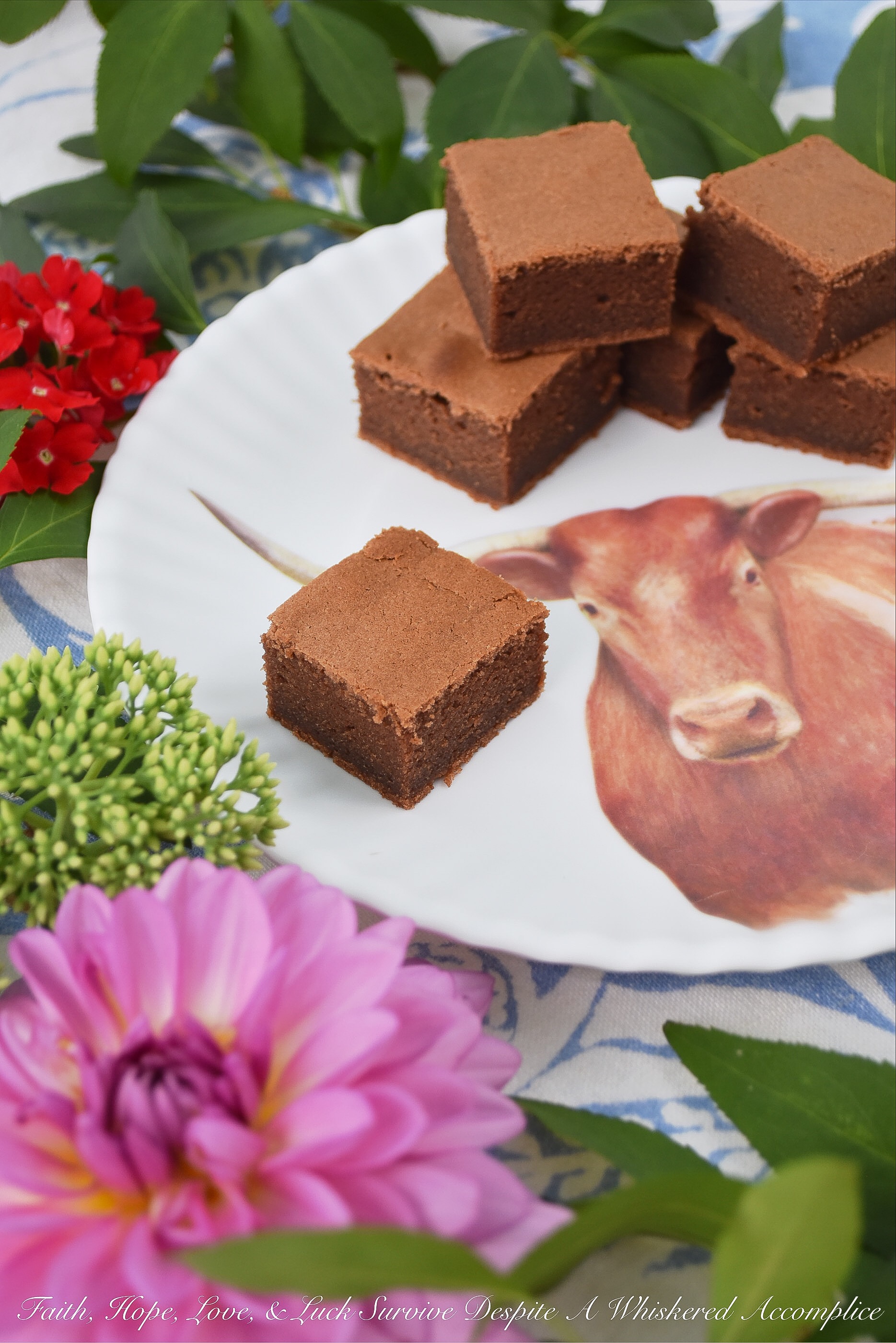 Milk Chocolate Sour Cream Cake Brownies - This no-fuss sour cream brownie recipe takes less than five minutes to whisk together and only twenty-five minutes to bake. That means that you can have warm chocolatey cake brownies in your kitchen in less than half an hour. I'm pretty sure that's a good thing.