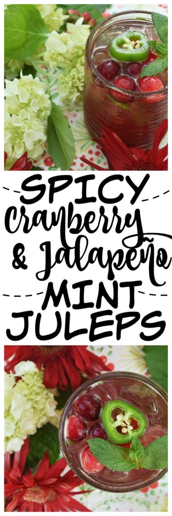 Spicy Cranberry & Jalapeño Mint Juleps - Add a little bit of spice to your happy hour with this cranberry and jalapeño infused mint julep. It uses a homemade sweet and spicy cranberry jalapeño jam sauce in lieu of sugar so that your cocktail has just the right amount of sugar and heat. Simply add a bit of fresh mint, bourbon, and sparkling water or club soda to it for the perfect cocktail hour worthy drink.