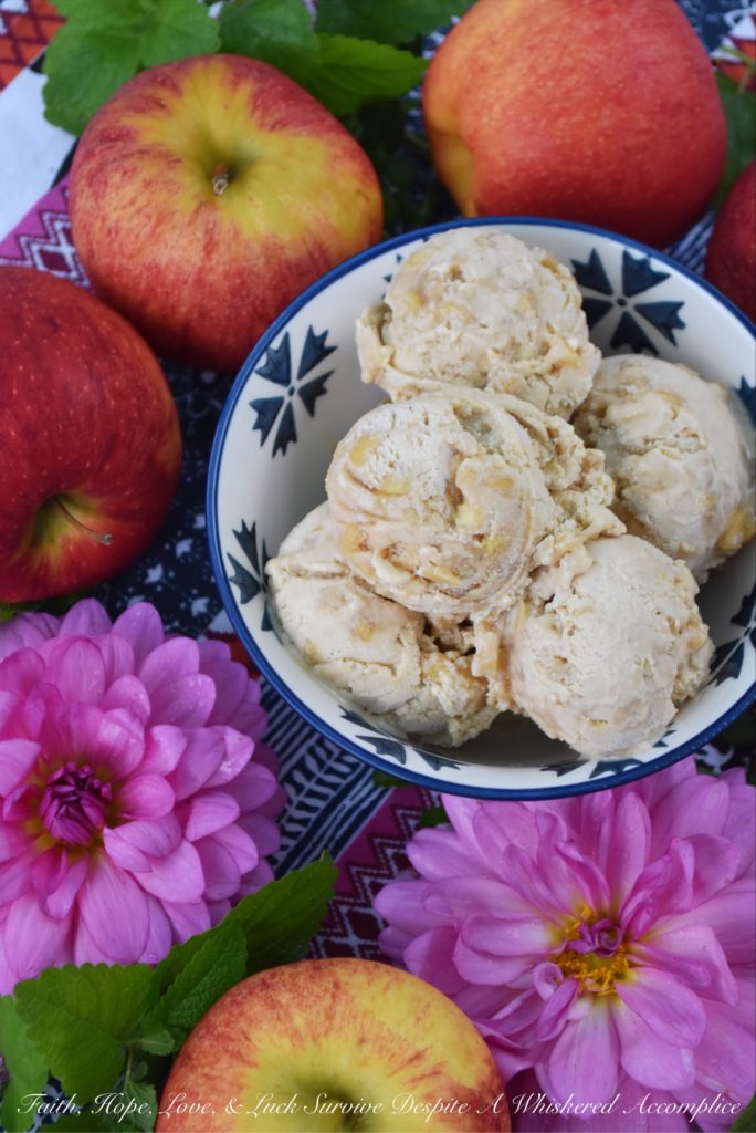 Cinnamon Caramel Apple Frozen Custard - Just because summer is over, doesn't mean that you have to store your ice cream machine away. This over-the-top delicious frozen custard can be made in one of two ways. You can either swirl room-temperature homemade caramel apple sauce into layers of the cinnamon frozen custard or you can serve the cinnamon frozen custard drizzled with warm caramel apple sauce. No matter which way choose, I know you're going to absolutely love this sweet autumn dessert.