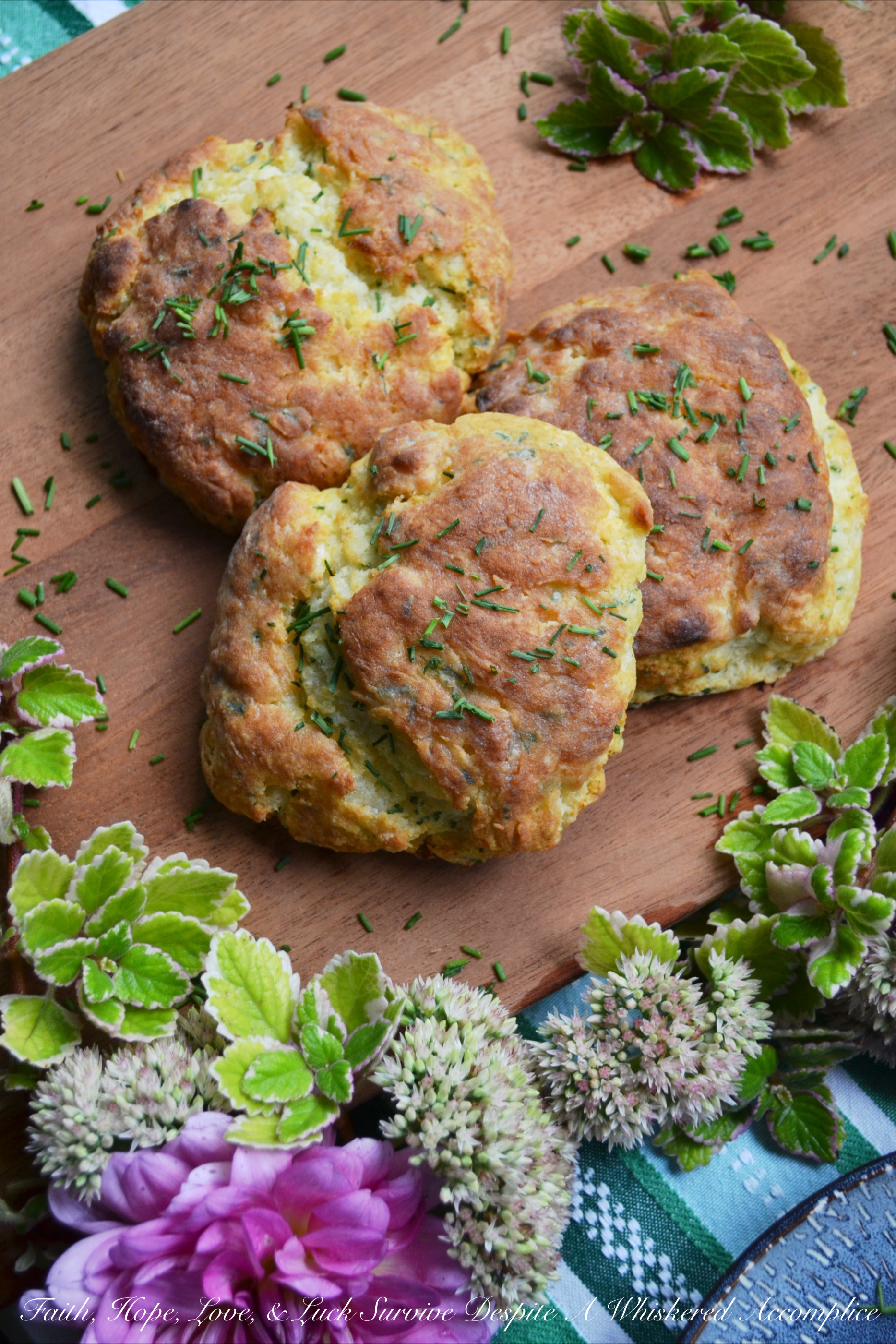 Sour Cream & Chive Jumbo Biscuits - These jumbo biscuits are light, fluffy, and perfectly crunchy on the outside. And thanks to the sour cream and freshly chopped chives added to the biscuit dough, they taste just as good as they look.