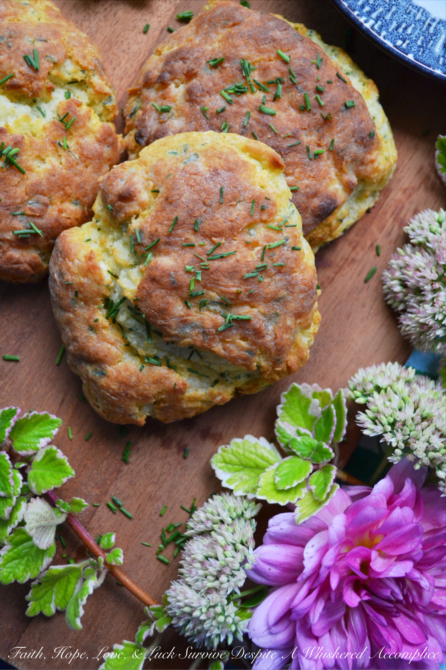 Sour Cream & Chive Jumbo Biscuits - These jumbo biscuits are light, fluffy, and perfectly crunchy on the outside. And thanks to the sour cream and freshly chopped chives added to the biscuit dough, they taste just as good as they look.