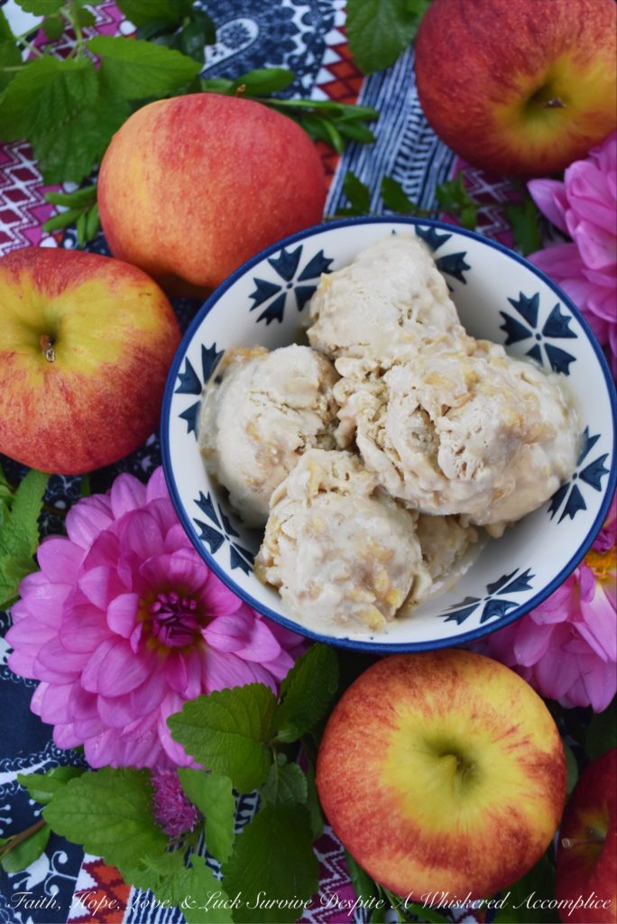 Cinnamon Caramel Apple Frozen Custard - Just because summer is over, doesn't mean that you have to store your ice cream machine away. This over-the-top delicious frozen custard can be made one of two ways. You can either swirl room-temperature homemade caramel apple sauce into layers of the cinnamon frozen custard or you can serve the cinnamon frozen custard drizzled with warm caramel apple sauce. No matter which way choose, I know you're going to absolutely love this sweet autumn dessert.