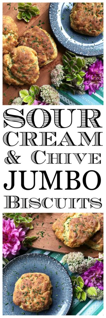 Sour Cream & Chive Jumbo Biscuits - These jumbo biscuits are light, fluffy, and perfectly crunchy on the outside. And thanks to the sour cream and freshly chopped chives added to the biscuit dough, they taste just as good as they look.