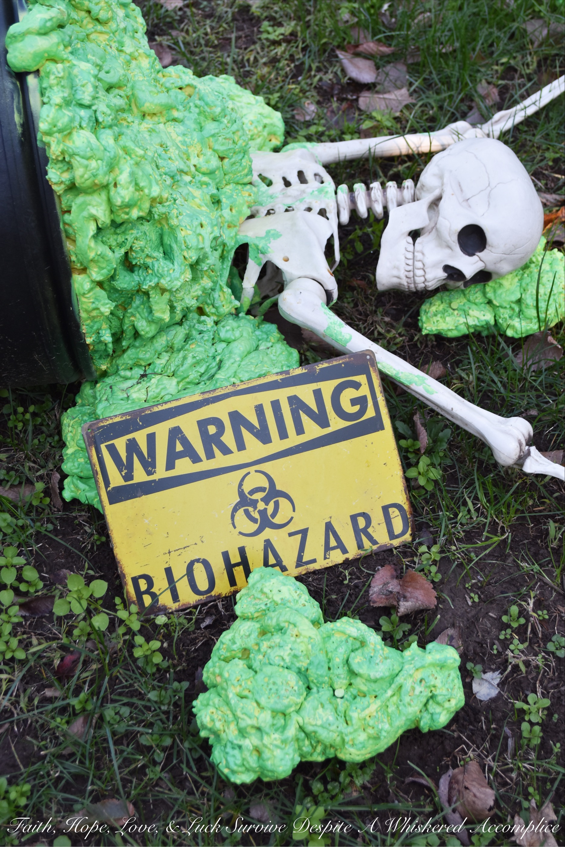 Biohazard Hazardous Waste Halloween Skeletons - Each year The Historic Herndon Halloween House chooses a new theme when it comes to decorating the graveyard. This year, the theme is biohazard hazardous waste, so our poor Skeleton Clan Army was forced to flee in fear. They're running and jumping over fences in an attempt to escape the evil HAZMAT Skeletons.