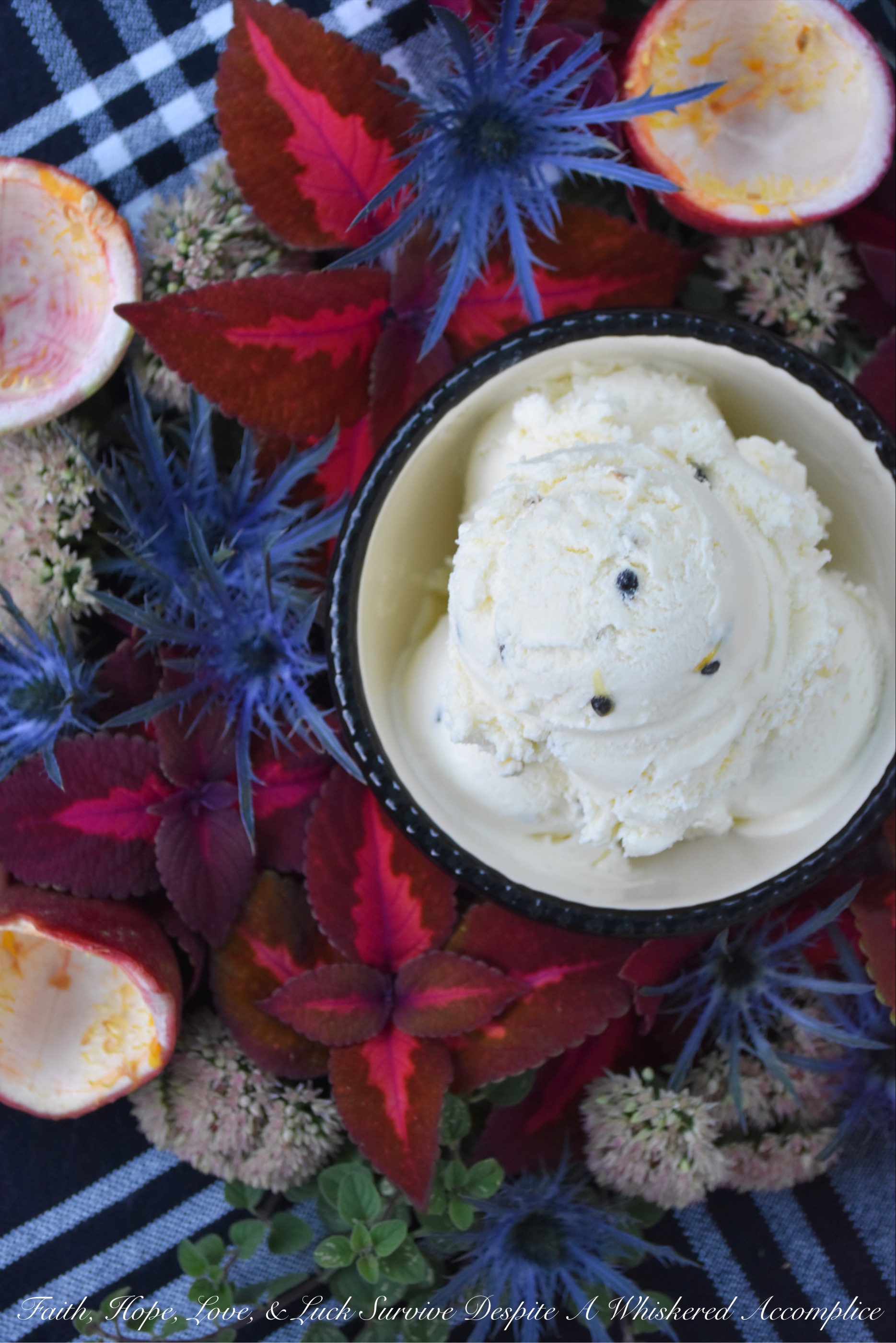 Passion Fruit Frozen Custard (With Seeds) - This amazingly flavorful frozen custard is perfectly sweet with just the right amount of tartness thanks to the passion fruit it contains. The small black passion fruit seeds mixed in also help to create a lovely crunchy texture as you take each bite. If you haven't tried fresh passion fruit before, this is one way I think you'll really enjoy it.