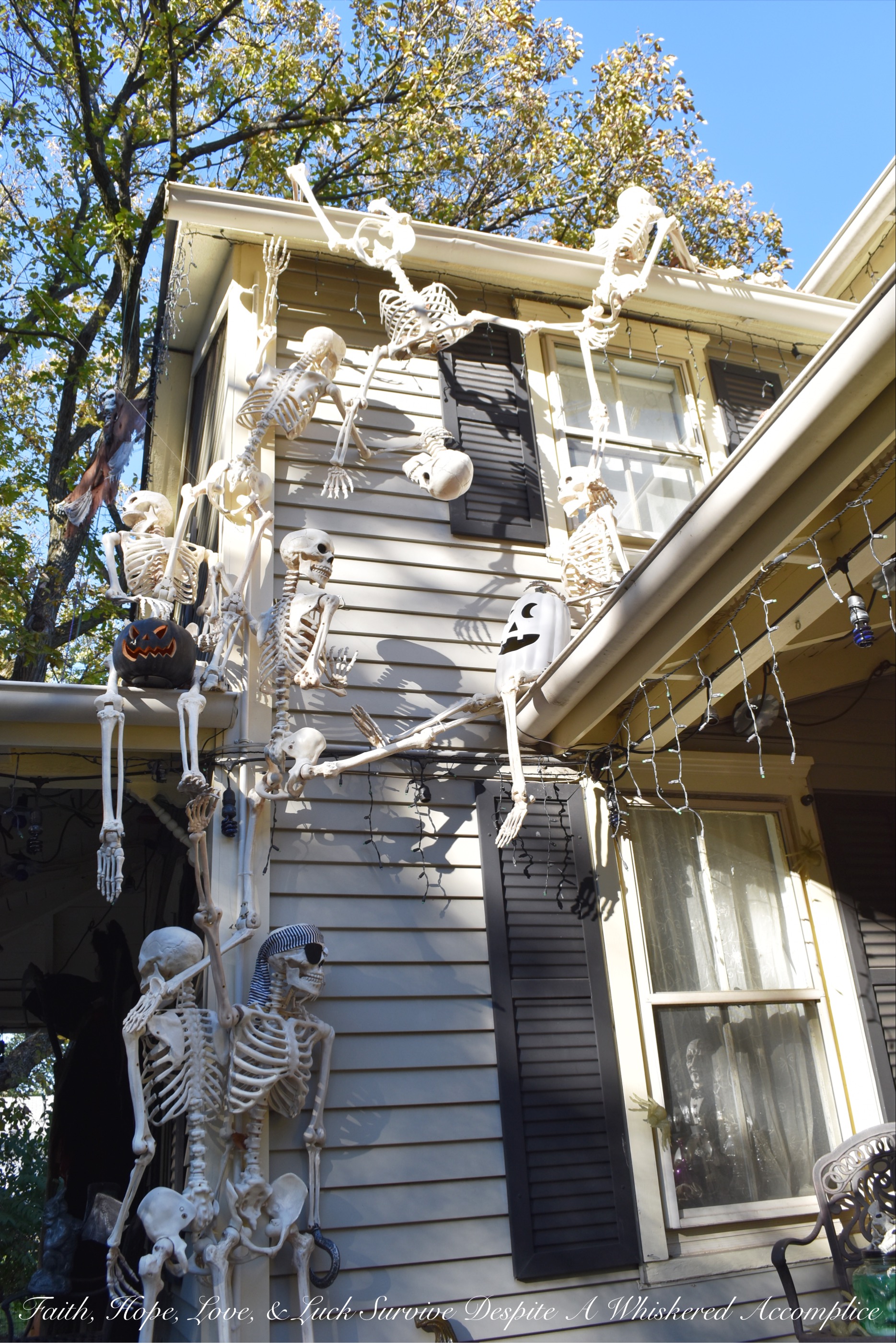 Biohazard Hazardous Waste Halloween Skeletons - Each year The Historic Herndon Halloween House chooses a new theme when it comes to decorating the graveyard. This year, the theme is biohazard hazardous waste, so our poor Skeleton Clan Army was forced to flee in fear. They're running and jumping over fences in an attempt to escape the evil HAZMAT Skeletons.