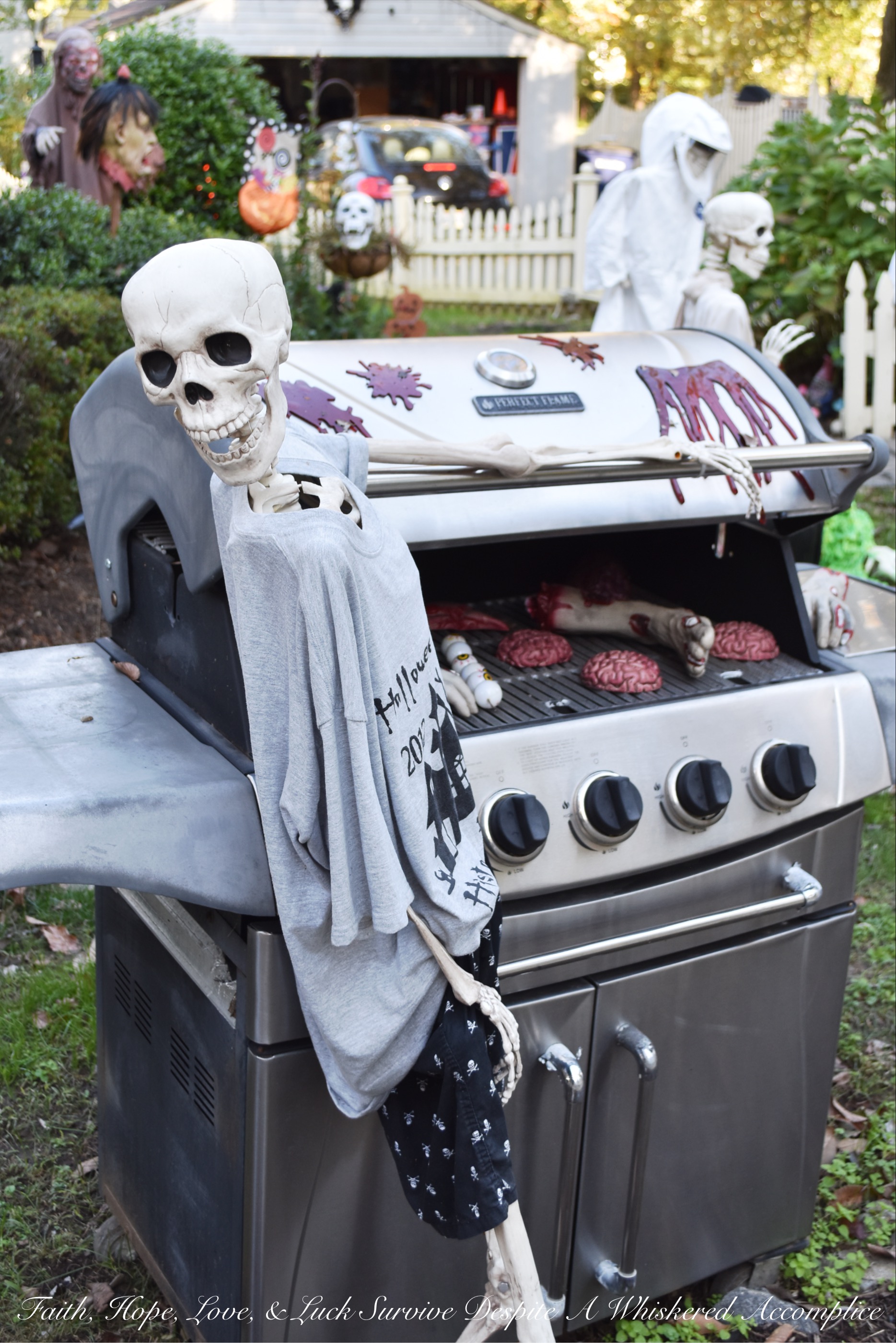 Biohazard Hazardous Waste Halloween Skeletons - Each year The Historic Herndon Halloween House chooses a new theme when it comes to decorating the graveyard. This year, the theme is biohazard hazardous waste, so our poor Skeleton Clan Army was forced to flee in fear. They're running and jumping over fences in an attempt to escape the evil HAZMAT Skeletons.