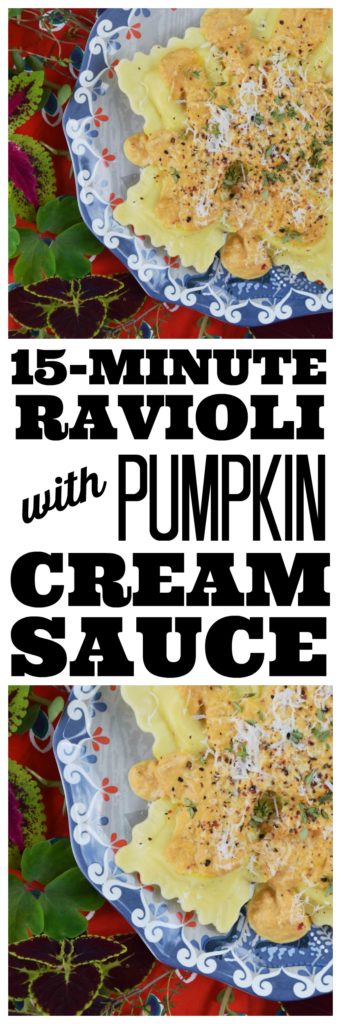 15-Minute Ravioli with Pumpkin Cream Sauce - Looking for a way to get dinner on the table in less than 15 minutes? Well then, this is the recipe for you. Store-bought fresh cheese ravioli is transformed into something truly magical with the addition of homemade pumpkin cream sauce. You'll be absolutely amazed at just how easy and quick this recipe is to make.