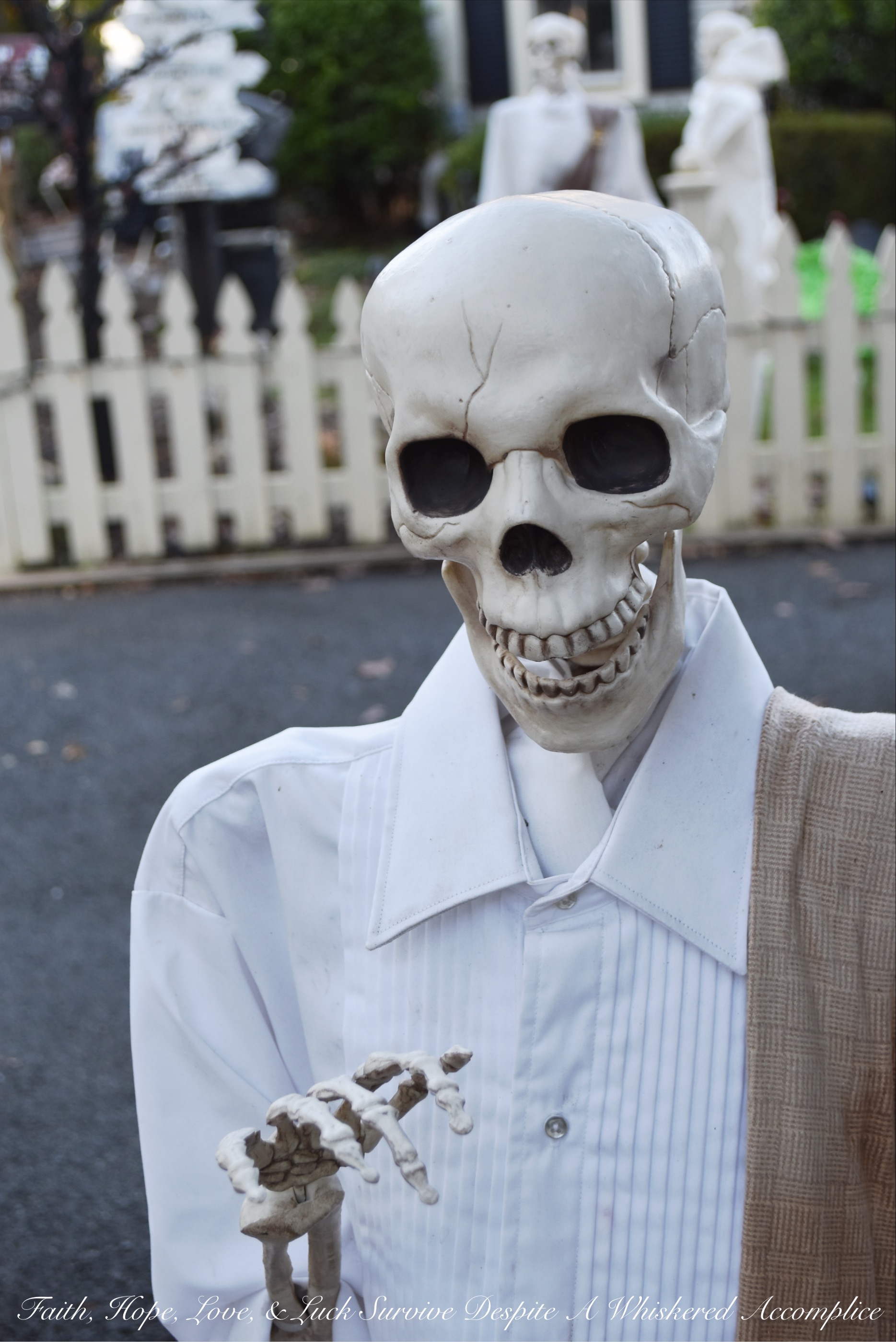 Biohazard Hazardous Waste Halloween Skeletons - Each year The Historic Herndon Halloween House chooses a new theme when it comes to decorating the graveyard. This year, the theme is biohazard hazardous waste, so our poor Skeleton Clan Army was forced to flee in fear. They're running and jumping over fences in an attempt to escape the evil HAZMAT Skeletons.