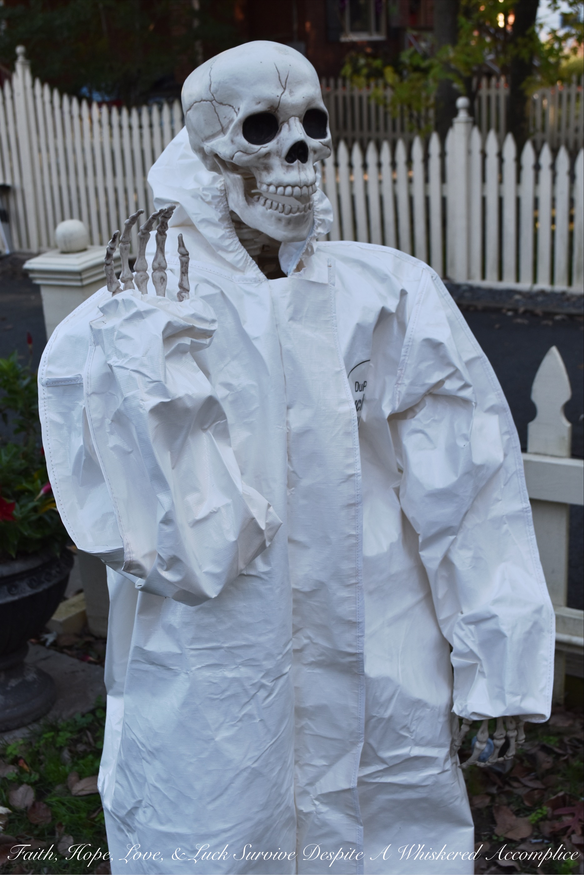 Biohazard Hazardous Waste Halloween Skeletons - Each year The Historic Herndon Halloween House chooses a new theme when it comes to decorating the graveyard. This year, the theme is biohazard hazardous waste, so our poor Skeleton Clan Army was forced to flee in fear. They're running and jumping over fences in an attempt to escape the evil HAZMAT Skeletons.