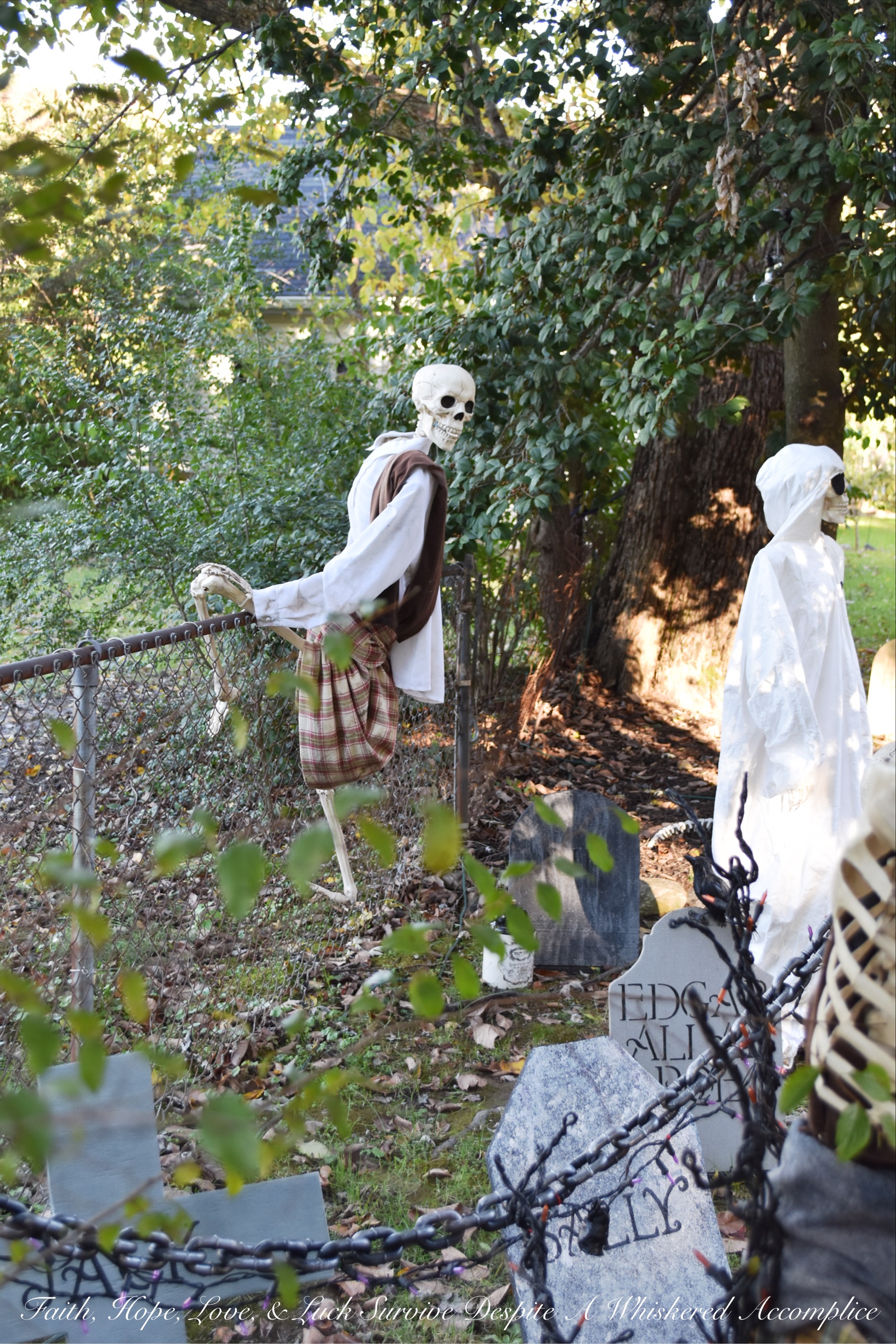 Biohazard Hazardous Waste Halloween Skeletons - Each year The Historic Herndon Halloween House chooses a new theme when it comes to decorating the graveyard. This year, the theme is biohazard hazardous waste, so our poor Skeleton Clan Army was forced to flee in fear. They're running and jumping over fences in an attempt to escape the evil HAZMAT Skeletons.