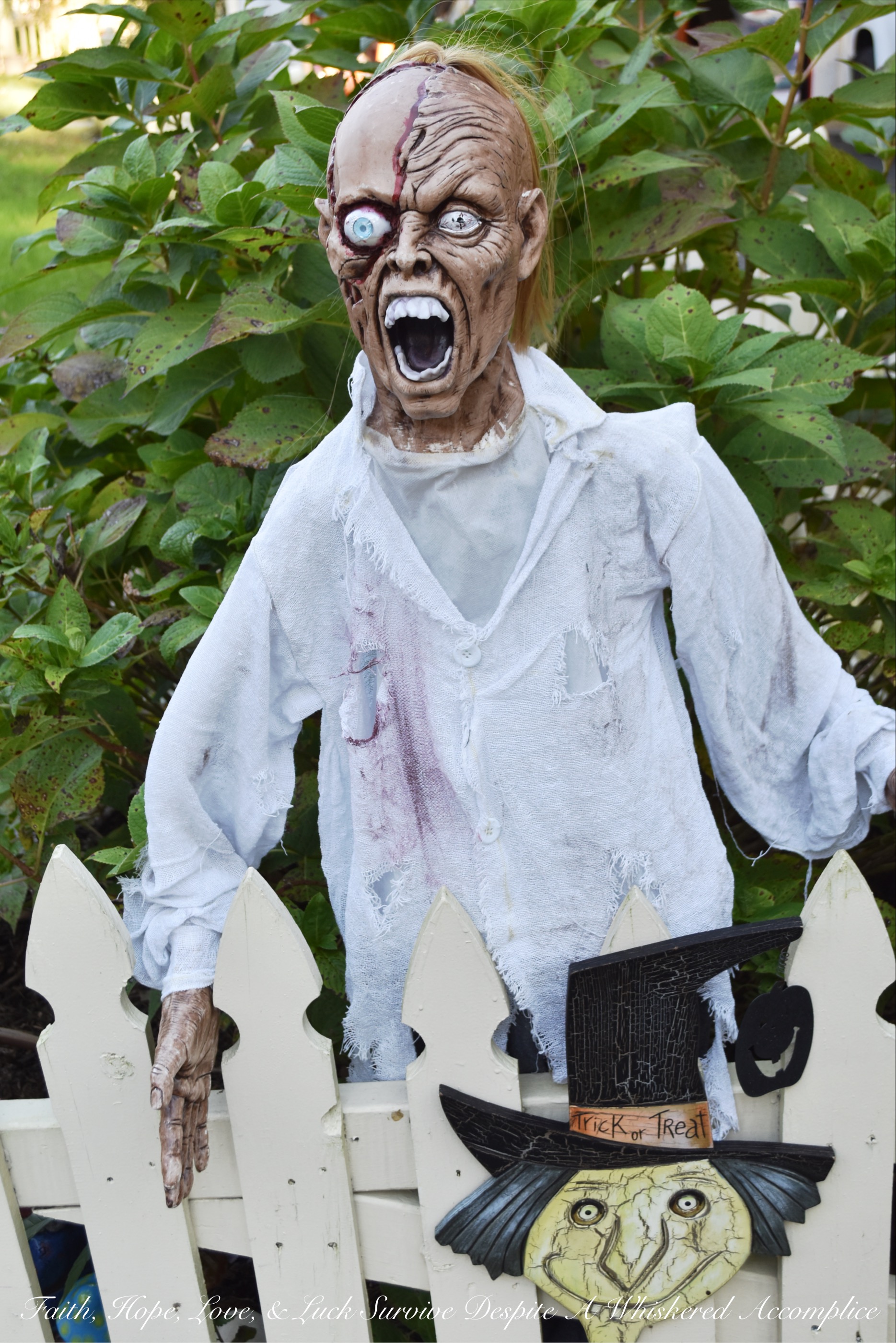 Biohazard Hazardous Waste Halloween Skeletons - Each year The Historic Herndon Halloween House chooses a new theme when it comes to decorating the graveyard. This year, the theme is biohazard hazardous waste, so our poor Skeleton Clan Army was forced to flee in fear. They're running and jumping over fences in an attempt to escape the evil HAZMAT Skeletons.