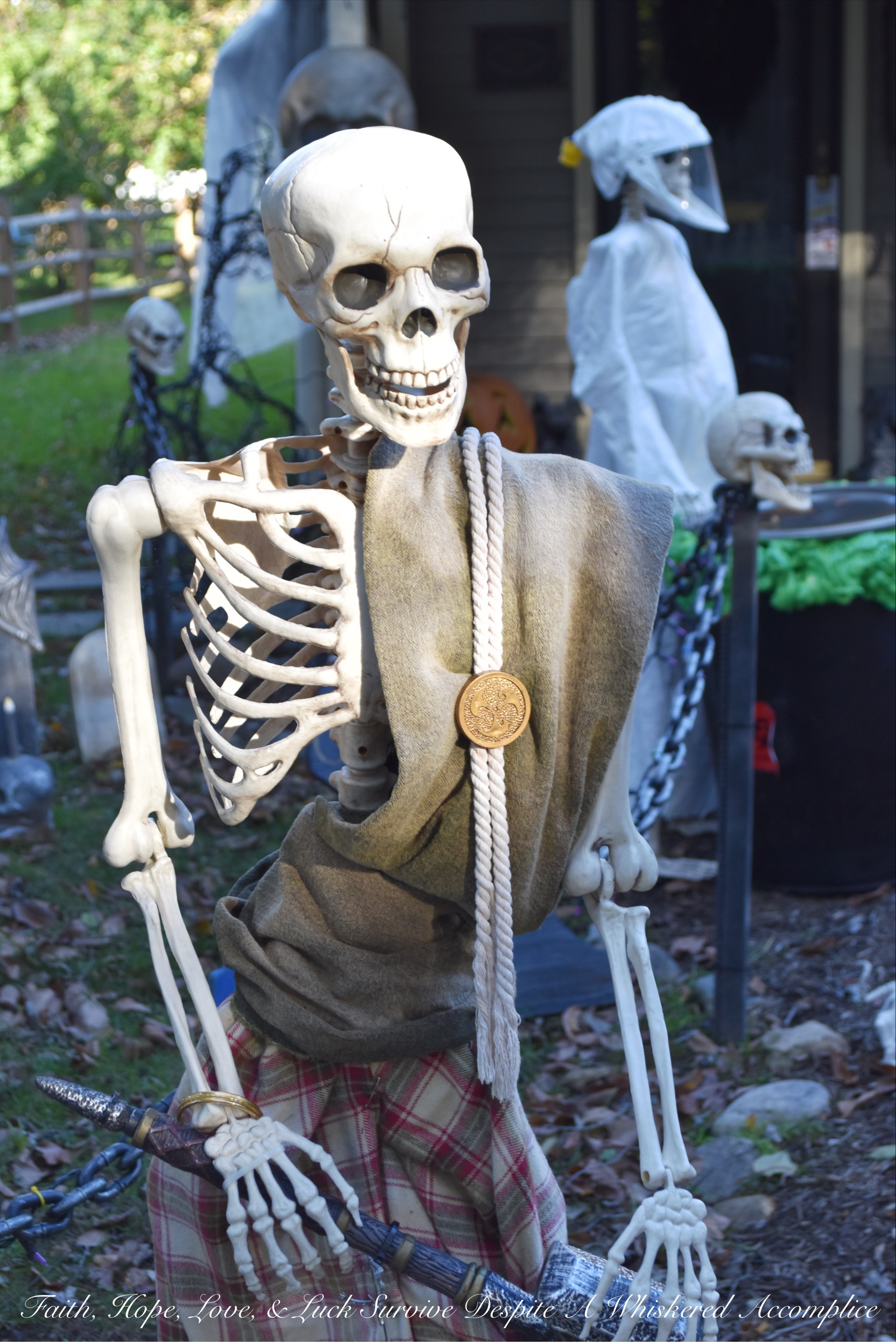 Biohazard Hazardous Waste Halloween Skeletons - Each year The Historic Herndon Halloween House chooses a new theme when it comes to decorating the graveyard. This year, the theme is biohazard hazardous waste, so our poor Skeleton Clan Army was forced to flee in fear. They're running and jumping over fences in an attempt to escape the evil HAZMAT Skeletons.