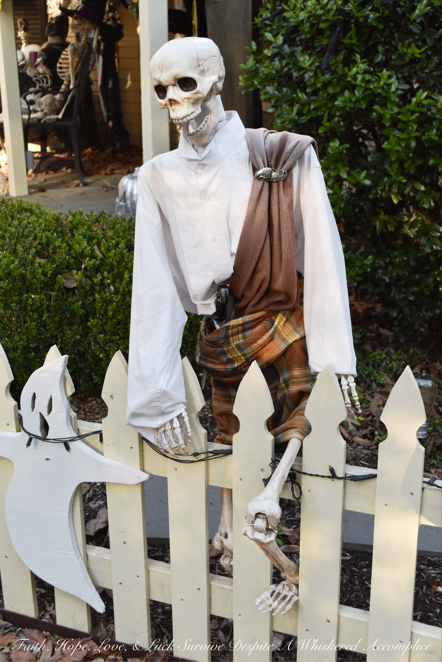 Biohazard Hazardous Waste Halloween Skeletons - Each year The Historic Herndon Halloween House chooses a new theme when it comes to decorating the graveyard. This year, the theme is biohazard hazardous waste, so our poor Skeleton Clan Army was forced to flee in fear. They're running and jumping over fences in an attempt to escape the evil HAZMAT Skeletons.