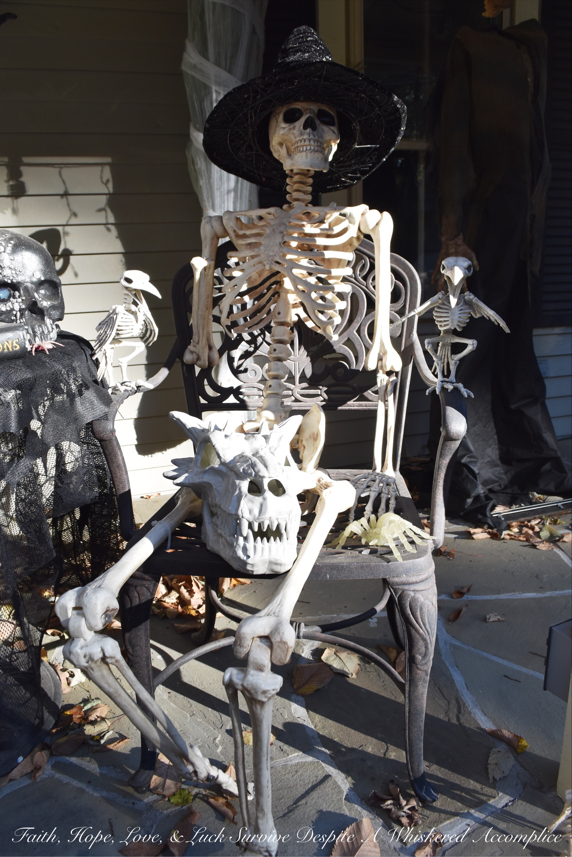 Biohazard Hazardous Waste Halloween Skeletons - Each year The Historic Herndon Halloween House chooses a new theme when it comes to decorating the graveyard. This year, the theme is biohazard hazardous waste, so our poor Skeleton Clan Army was forced to flee in fear. They're running and jumping over fences in an attempt to escape the evil HAZMAT Skeletons.