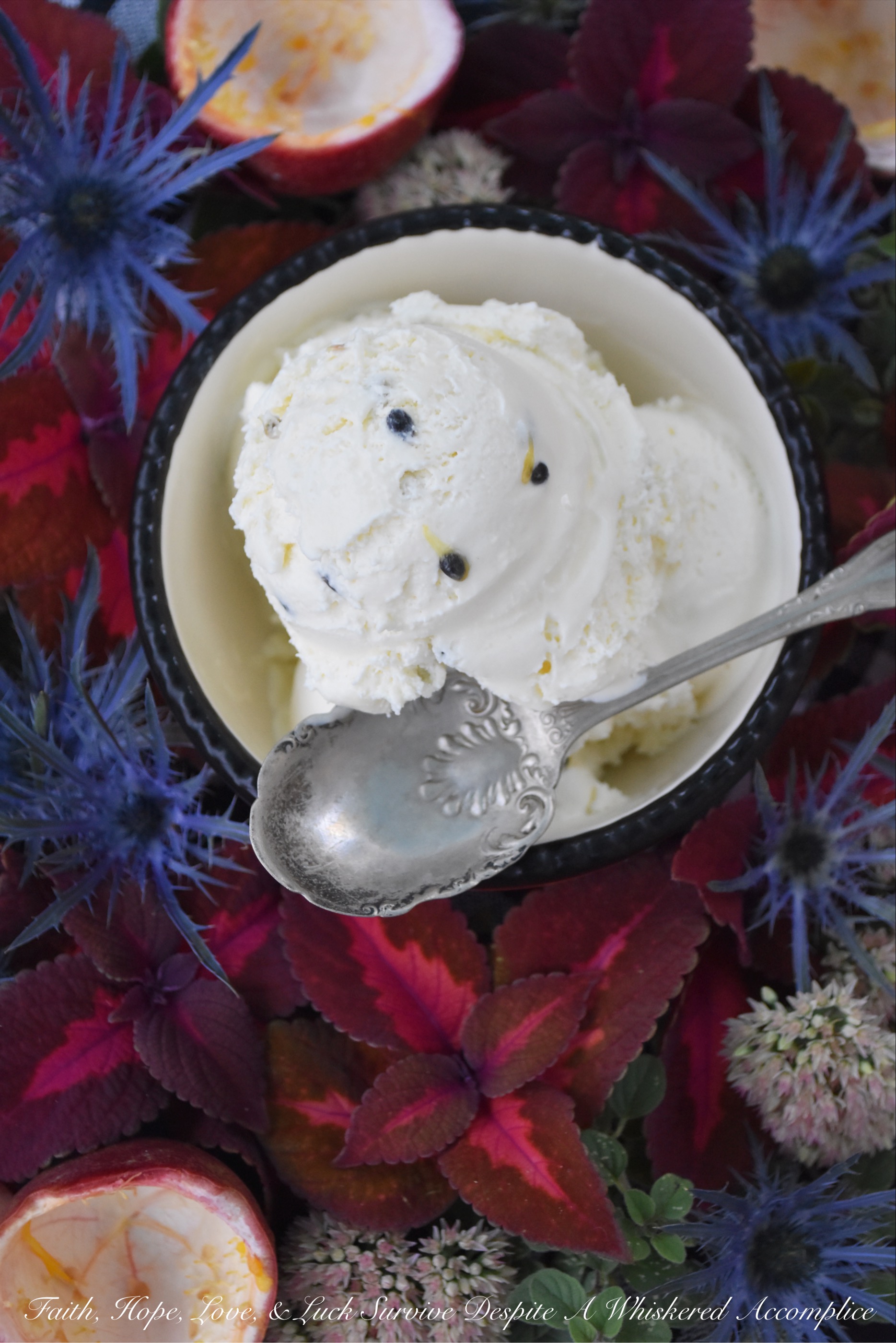 Passion Fruit Frozen Custard (With Seeds) - This amazingly flavorful frozen custard is perfectly sweet with just the right amount of tartness thanks to the passion fruit it contains. The small black passion fruit seeds mixed in also help to create a lovely crunchy texture as you take each bite. If you haven't tried fresh passion fruit before, this is one way I think you'll really enjoy it.