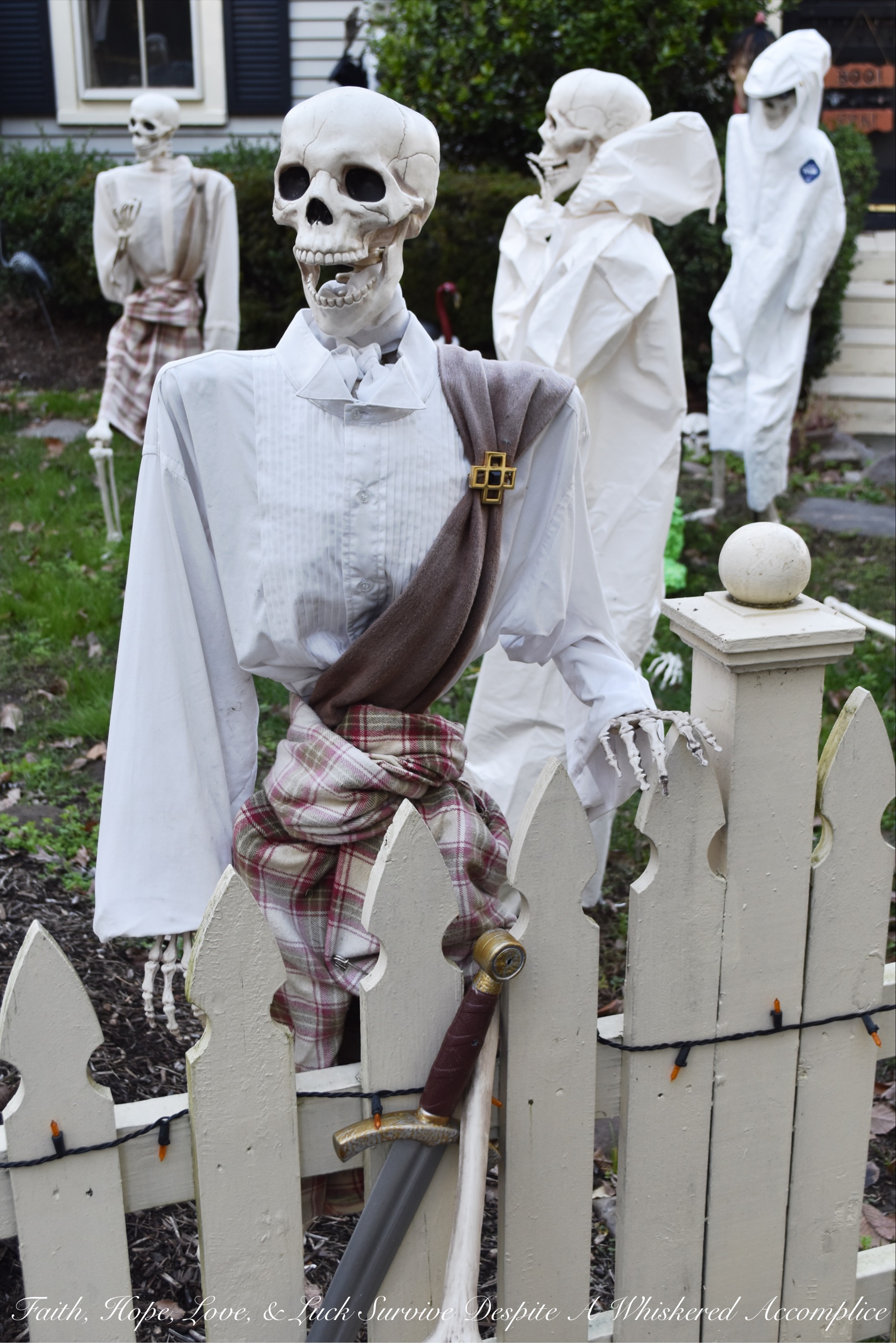 Biohazard Hazardous Waste Halloween Skeletons - Each year The Historic Herndon Halloween House chooses a new theme when it comes to decorating the graveyard. This year, the theme is biohazard hazardous waste, so our poor Skeleton Clan Army was forced to flee in fear. They're running and jumping over fences in an attempt to escape the evil HAZMAT Skeletons.
