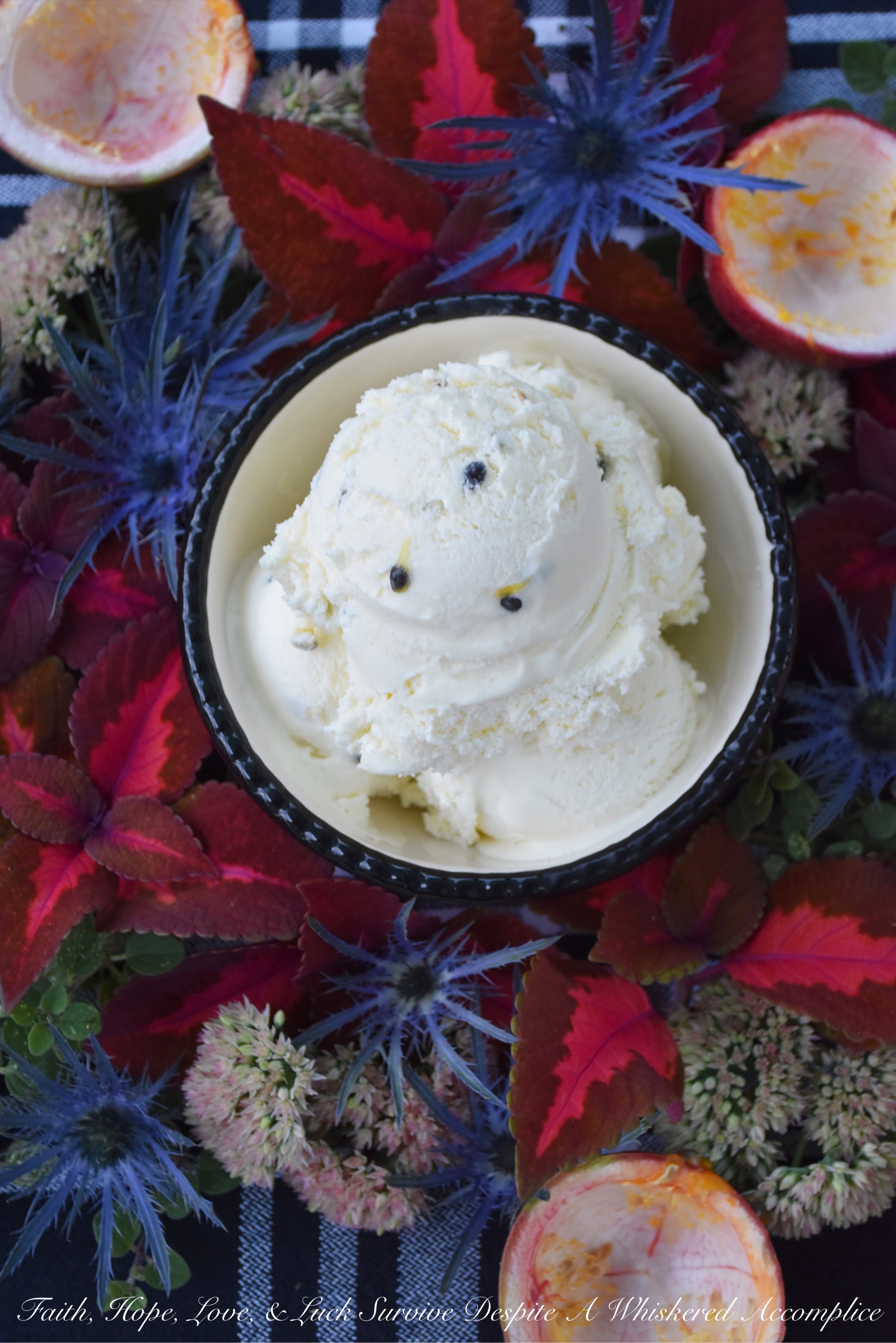 Passion Fruit Frozen Custard (With Seeds) - This amazingly flavorful frozen custard is perfectly sweet with just the right amount of tartness thanks to the passion fruit it contains. The small black passion fruit seeds mixed in also help to create a lovely crunchy texture as you take each bite. If you haven't tried fresh passion fruit before, this is one way I think you'll really enjoy it.