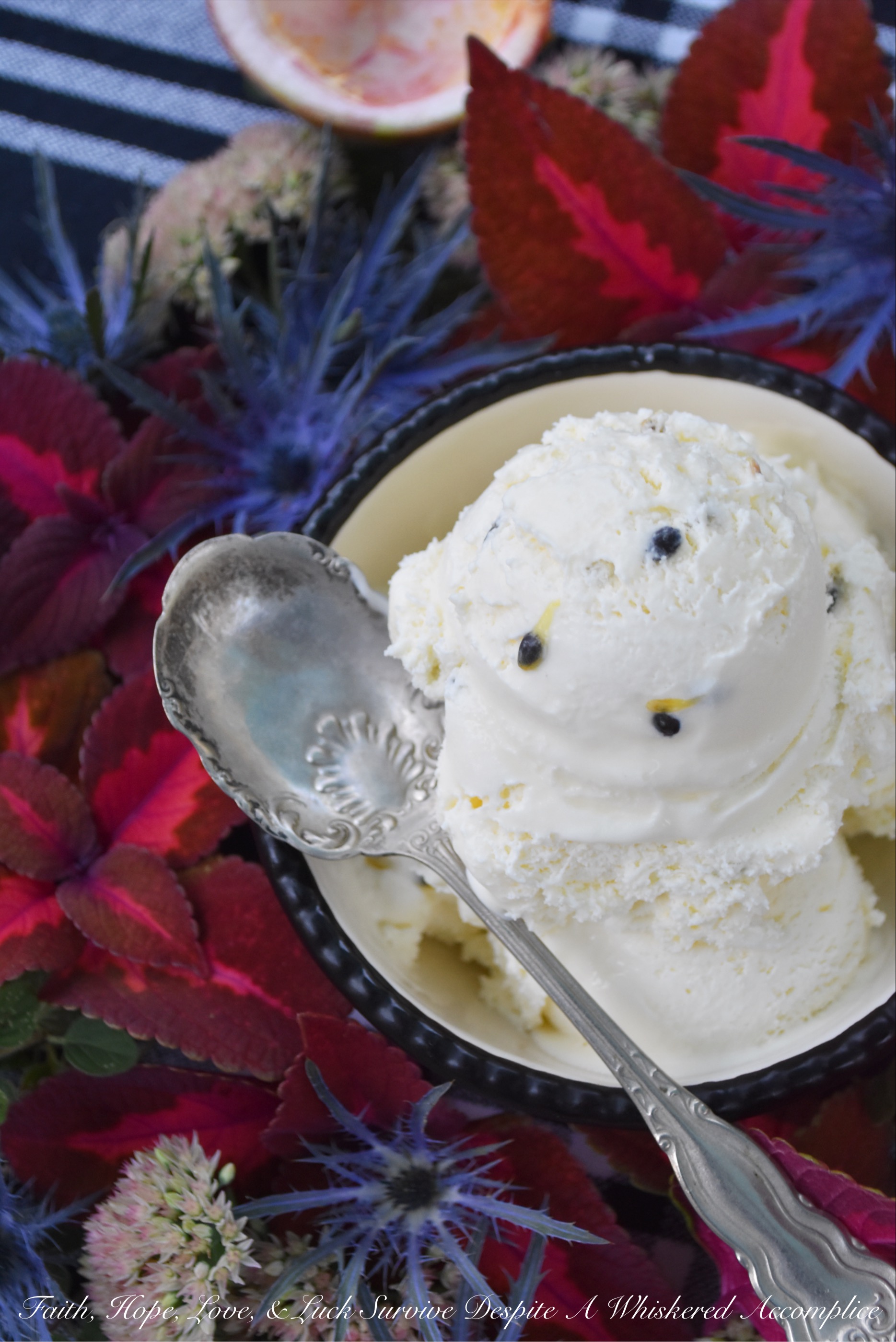 Passion Fruit Frozen Custard (With Seeds) - This amazingly flavorful frozen custard is perfectly sweet with just the right amount of tartness thanks to the passion fruit it contains. The small black passion fruit seeds mixed in also help to create a lovely crunchy texture as you take each bite. If you haven't tried fresh passion fruit before, this is one way I think you'll really enjoy it.