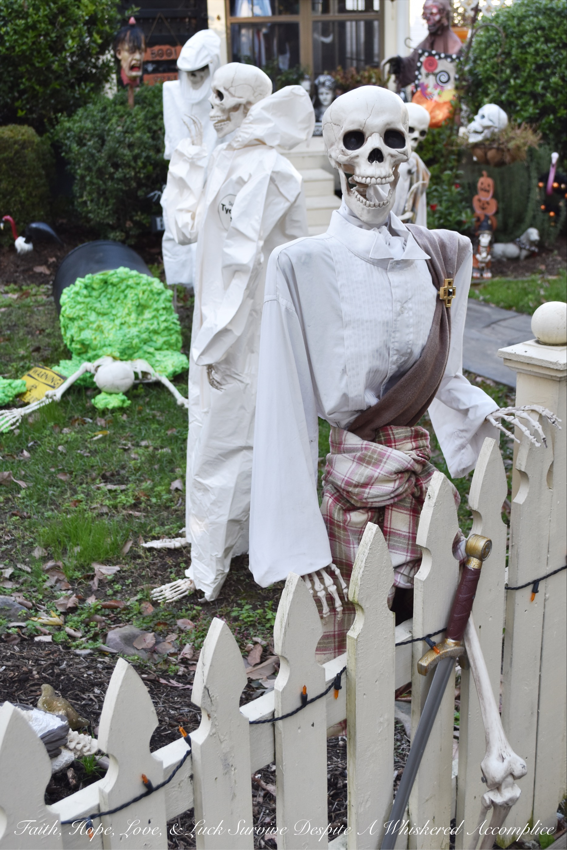 Biohazard Hazardous Waste Halloween Skeletons - Each year The Historic Herndon Halloween House chooses a new theme when it comes to decorating the graveyard. This year, the theme is biohazard hazardous waste, so our poor Skeleton Clan Army was forced to flee in fear. They're running and jumping over fences in an attempt to escape the evil HAZMAT Skeletons.
