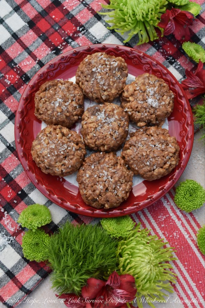 No-Bake Peanut Butter Cup Cereal Cookies - Every Christmas cookie tray needs a little something special on it, especially if that little something special takes so very little time to make, but still tastes absolutely amazing. These sweet no-bake cookies are made using cereal and peanut butter cups, and they literally take less than ten minutes to make, leaving you more time to spend with your friends and family during the holiday season and less time in the kitchen.