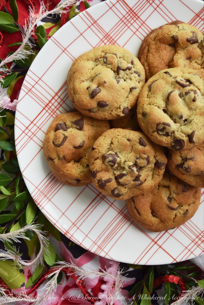 Chocolate Chip Vanilla Cookies - These simple and unassuming chocolate chip cookies are so much more than they first appear. They're soft and chewy, but also have an intense vanilla flavor that helps to bring out the taste of the semi-chocolate chips in them as well. In addition, they somehow manage to get even better after sitting for a few days after they are baked, which makes them the perfect Christmas cookie to add to a holiday cookie tray.
