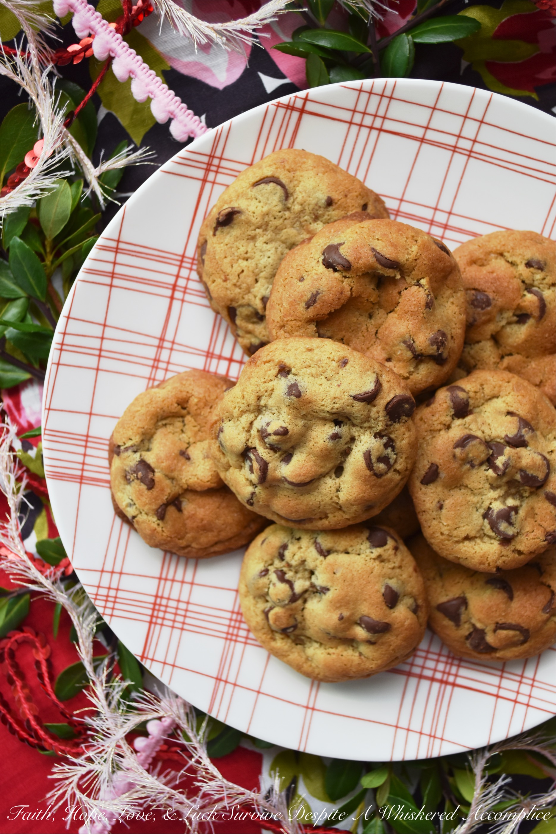 Chocolate Chip Vanilla Cookies