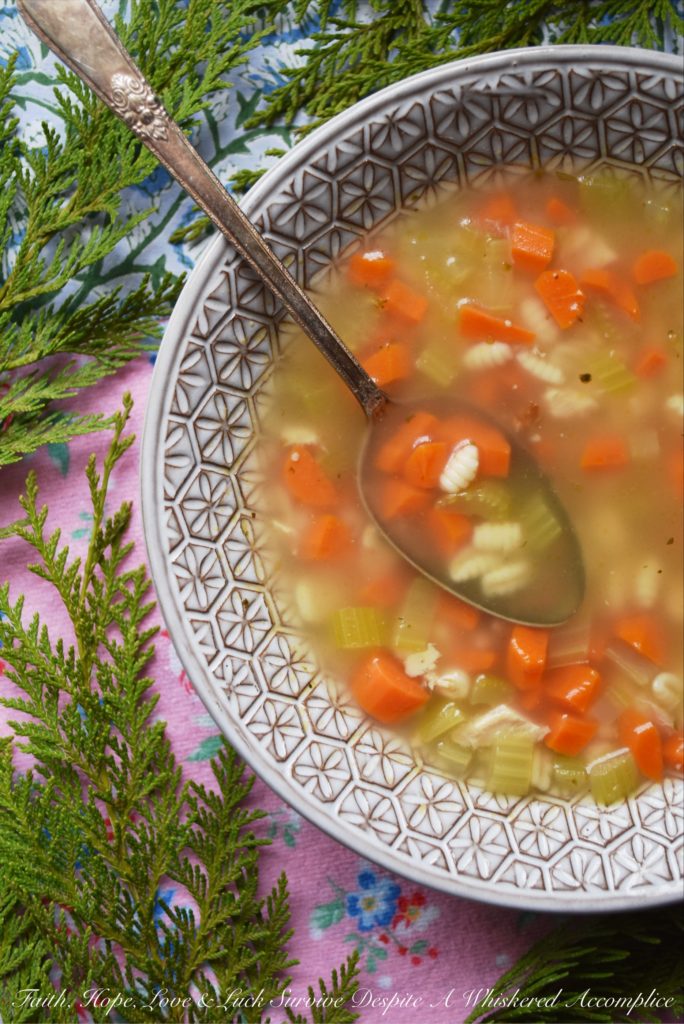 Brenna's Leftover Rotisserie Chicken Soup - Leftover store-bought rotisserie chicken is the perfect ingredient to use when making homemade soup, especially when you boil the chicken bones down to create your own broth as well. Add a few vegetables, seasonings, and spices, along with a little bit of pasta, and you've got a comforting meal everyone will enjoy.