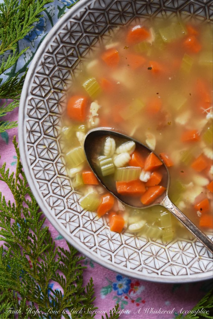 Brenna's Leftover Rotisserie Chicken Soup - Leftover store-bought rotisserie chicken is the perfect ingredient to use when making homemade soup, especially when you boil the chicken bones down to create your own broth as well. Add a few vegetables, seasonings, and spices, along with a little bit of pasta, and you've got a comforting meal everyone will enjoy.