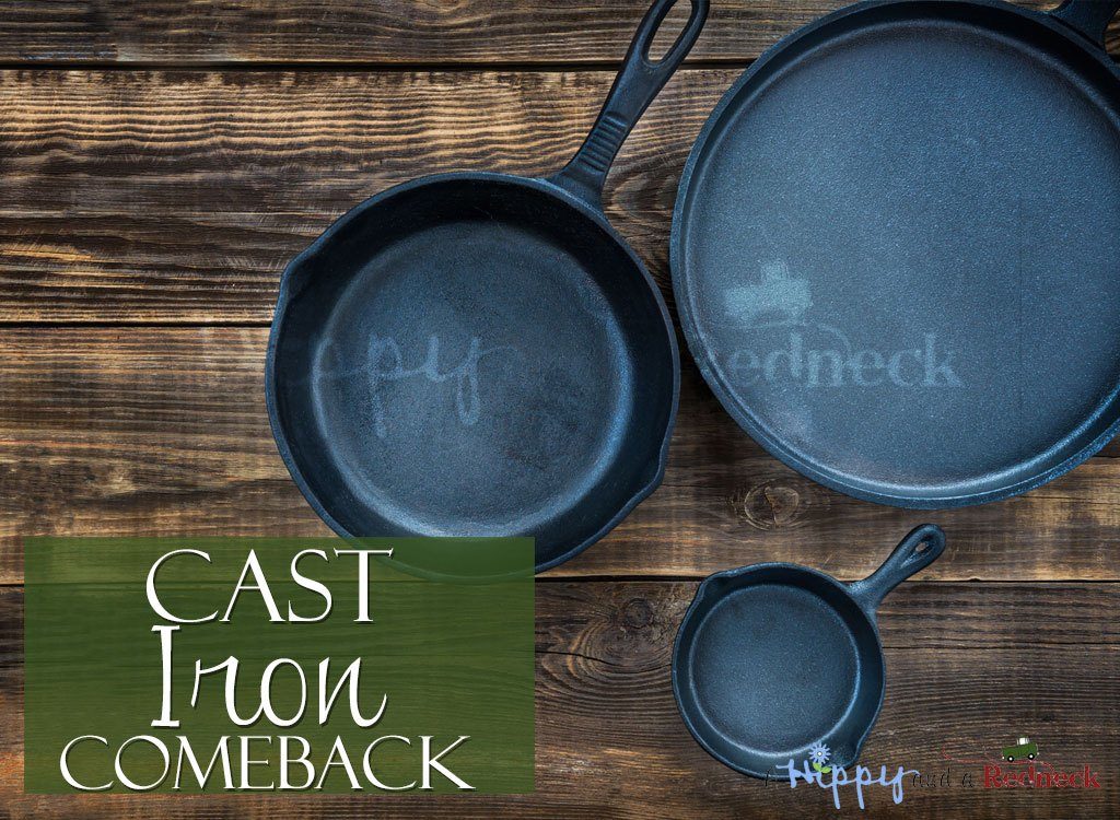 Cast-Iron Comeback - A Hippy and a Redneck - Welcome to the Friday Frenzy, the best food and craft link party on the web. Visit us this week to see what recipes and crafts we are most excited about.