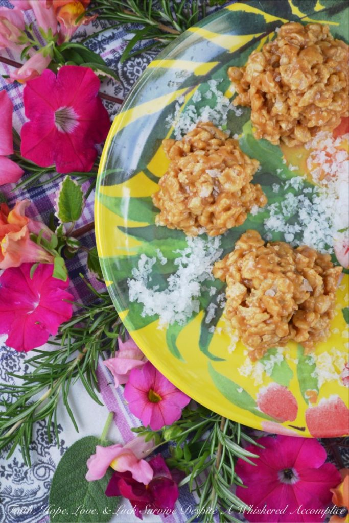 No-Bake Peanut Butter Rice Cereal Cookies - This Christmas, give the gift that keeps on giving. Make a recipe box for your friends and family and fill it with mouth-watering recipes that they'll be able to enjoy throughout the year. Here are 12 unforgettable recipes to get you started.