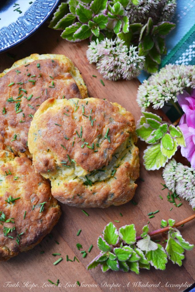 Sour Cream & Chive Jumbo Biscuits - We're counting down the days until New Year's 2019 by sharing our best and favorite most delicious breakfast recipes of the year 2018.