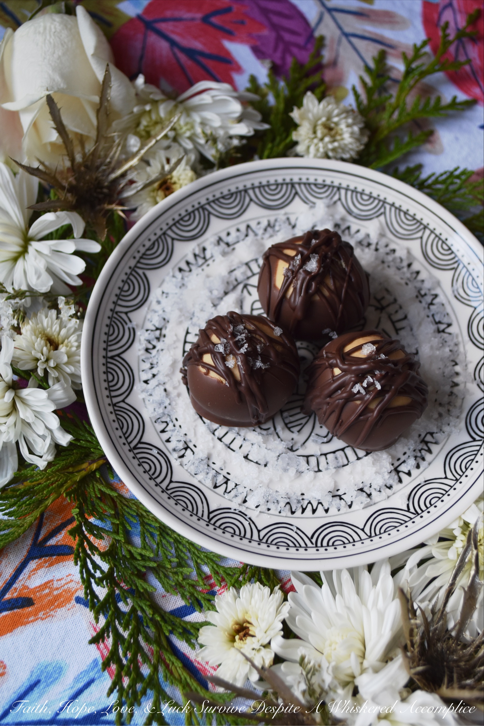 The Best Double Chocolate Buckeyes