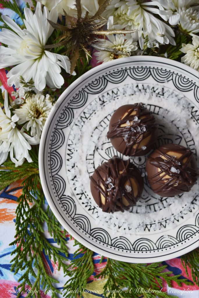 The Best Double Chocolate Buckeyes - Almost everyone loves the taste of chocolate and peanut butter together, especially when they are combined in a creamy Buckeye. These sinfully amazing double chocolate Buckeyes are probably the best ever, thanks to being coated in both milk and dark chocolate and then sprinkled with just the tiniest bit of flakey sea salt. A hint of espresso and vanilla certainly doesn't hurt either.