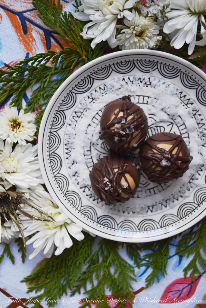 The Best Double Chocolate Buckeyes - Almost everyone loves the taste of chocolate and peanut butter together, especially when they are combined in a creamy Buckeye. These sinfully amazing double chocolate Buckeyes are probably the best ever, thanks to being coated in both milk and dark chocolate and then sprinkled with just the tiniest bit of flakey sea salt. A hint of espresso and vanilla certainly doesn't hurt either.