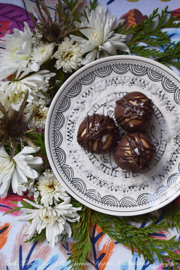 The Best Double Chocolate Buckeyes - Almost everyone loves the taste of chocolate and peanut butter together, especially when they are combined in a creamy Buckeye. These sinfully amazing double chocolate Buckeyes are probably the best ever, thanks to being coated in both milk and dark chocolate and then sprinkled with just the tiniest bit of flakey sea salt. A hint of espresso and vanilla certainly doesn't hurt either.
