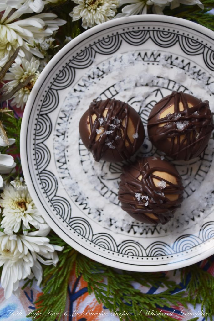 The Best Double Chocolate Buckeyes - Almost everyone loves the taste of chocolate and peanut butter together, especially when they are combined in a creamy Buckeye. These sinfully amazing double chocolate Buckeyes are probably the best ever, thanks to being coated in both milk and dark chocolate and then sprinkled with just the tiniest bit of flakey sea salt. A hint of espresso and vanilla certainly doesn't hurt either.