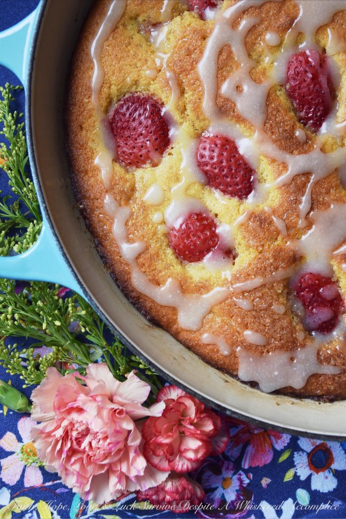 Sweet Strawberry Honey Cornbread Cake - This honey-flavored cast iron cornbread cake is full of sweet strawberries and topped with just the right amount of powdered sugar drizzle. Whether you choose to serve it for breakfast alongside a banana or additional sliced strawberries, or for dessert alongside fresh whipped cream or a scoop of ice cream, I guarantee that you'll fall absolutely in love with this sweet cornbread after the very first bite.