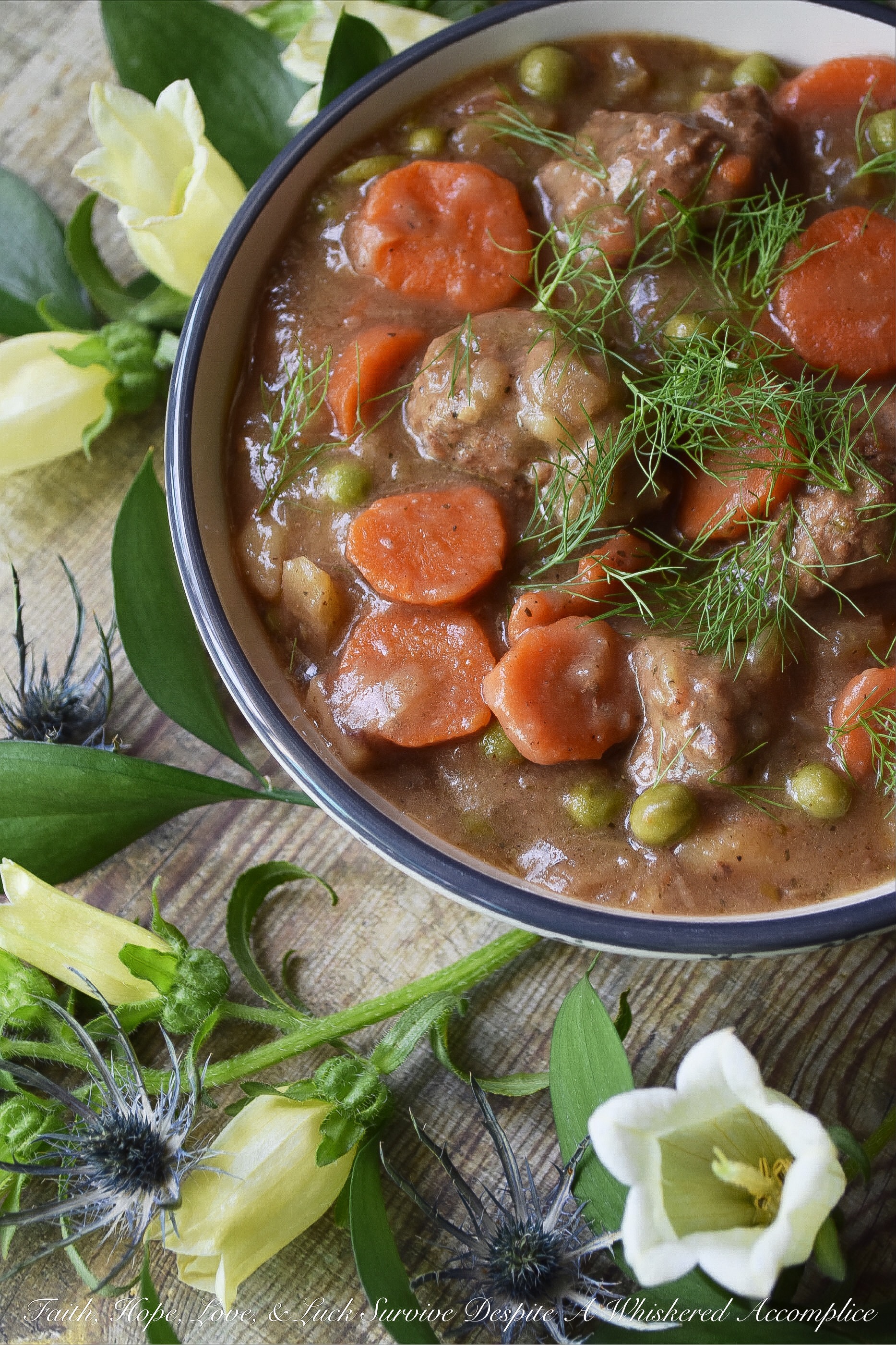One-Pot Fennel & Stout Beef Meatball Stew