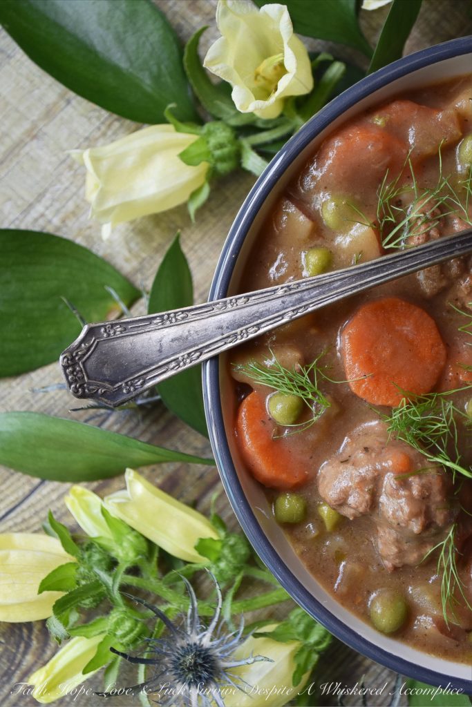 One-Pot Fennel & Stout Beef Meatball Stew - Fennel and stout are the key ingredients which make this meatball and vegetable-loaded stew such a delicious success. And, not only is this beef stew absolutely packed with flavor, thanks to the one-pot recipe, kitchen clean up is an absolute breeze.