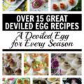 A Deviled Egg for Every Season - Over 15 Great Deviled Egg Recipes - Deviled eggs aren't just for summertime picnics or barbecues; they're also perfect for holidays, tailgate parties, football games, and any ol' little special occasion you can dream up. With over 15 great deviled egg recipes to choose from, you're bound to find one that's perfect for any celebration.
