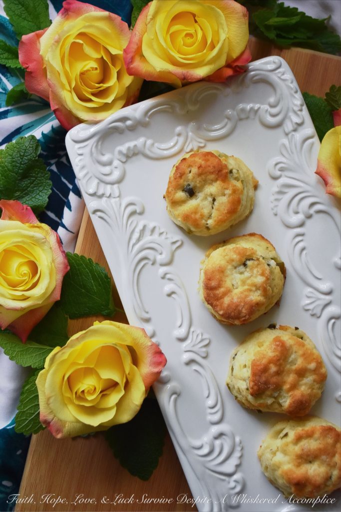 Bread & Butter Pickle Buttermilk Biscuits - Not only do bread & butter pickles add flavor to traditional buttermilk biscuits, but they also add moisture, making these little biscuits fluffy, flavorful, and tenderly moist. Whether you eat them on their own or use them for bread to make a sandwich, I guarantee you'll enjoy their delicate deliciousness.