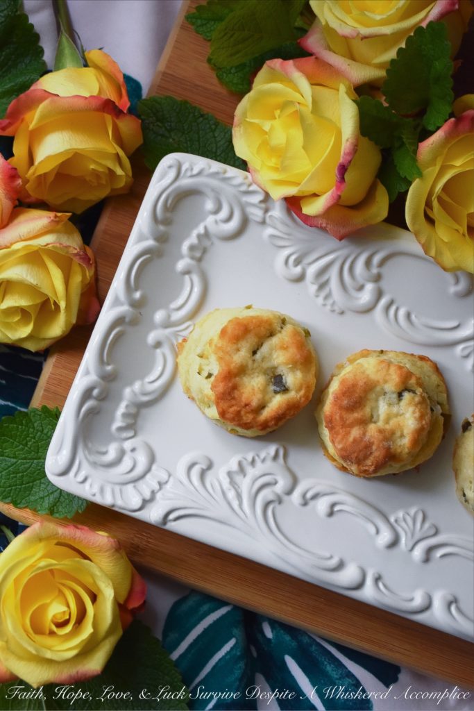Bread & Butter Pickle Buttermilk Biscuits - Not only do bread & butter pickles add flavor to traditional buttermilk biscuits, but they also add moisture, making these little biscuits fluffy, flavorful, and tenderly moist. Whether you eat them on their own or use them for bread to make a sandwich, I guarantee you'll enjoy their delicate deliciousness.