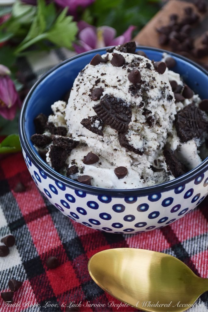 Chocolate Chip Ice Cream with Crushed Oreos - Choosing one flavor of ice cream is often difficult, but with this delicious ice cream, it doesn't have to be. This frozen dessert is basically two ice creams in one; chocolate chip and Oreo cookie. Who doesn't love it when chocolate chips and crushed Oreos are paired together? With this ice cream, no one's forced to choose a favorite.